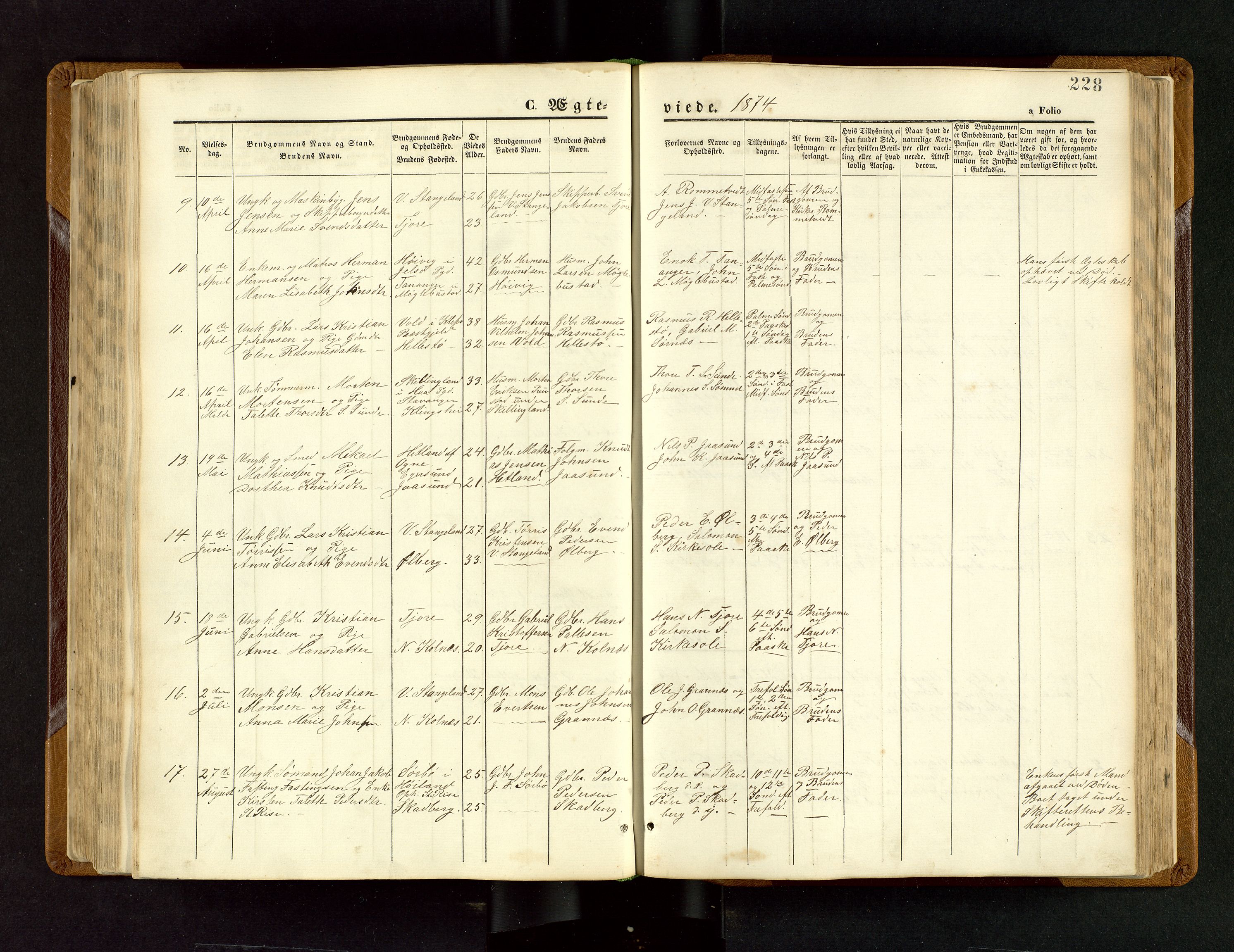 Håland sokneprestkontor, AV/SAST-A-101802/001/30BB/L0003: Parish register (copy) no. B 3, 1873-1893, p. 228