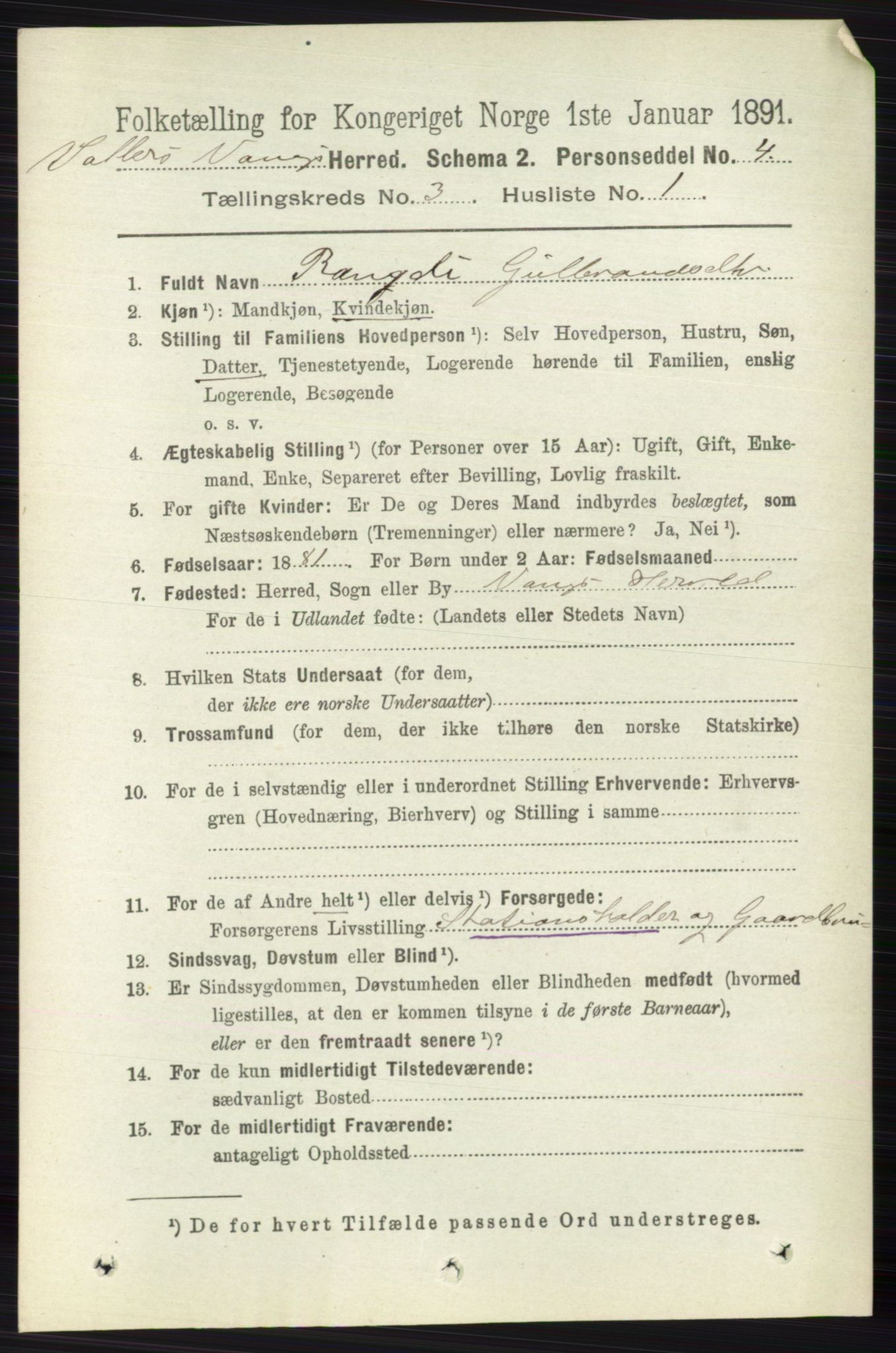 RA, 1891 census for 0545 Vang, 1891, p. 714