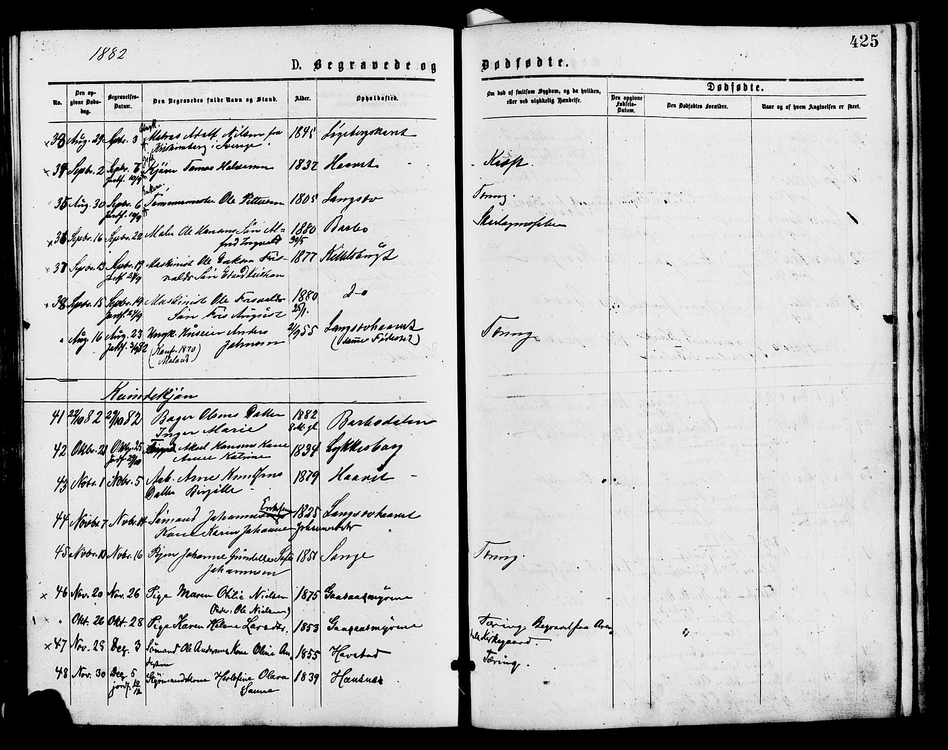 Barbu sokneprestkontor, AV/SAK-1111-0003/F/Fa/L0001: Parish register (official) no. A 1 /1, 1878-1883, p. 425