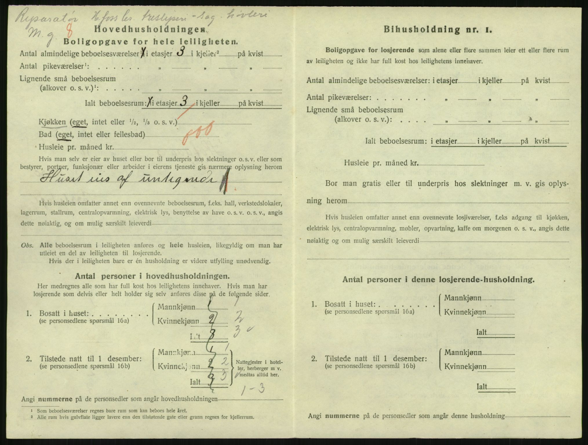 SAKO, 1920 census for Hønefoss, 1920, p. 1899