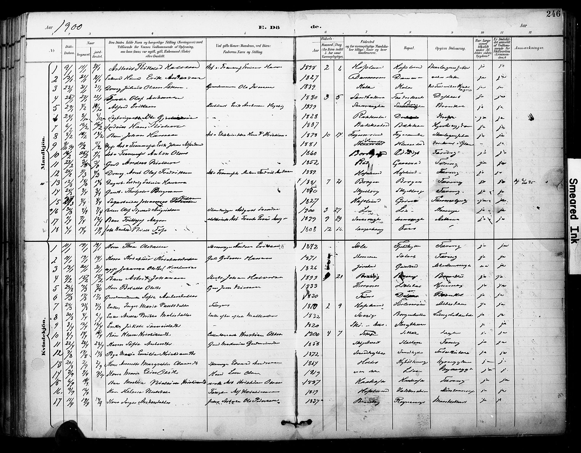 Skjeberg prestekontor Kirkebøker, SAO/A-10923/F/Fa/L0010: Parish register (official) no. I 10, 1898-1911, p. 246