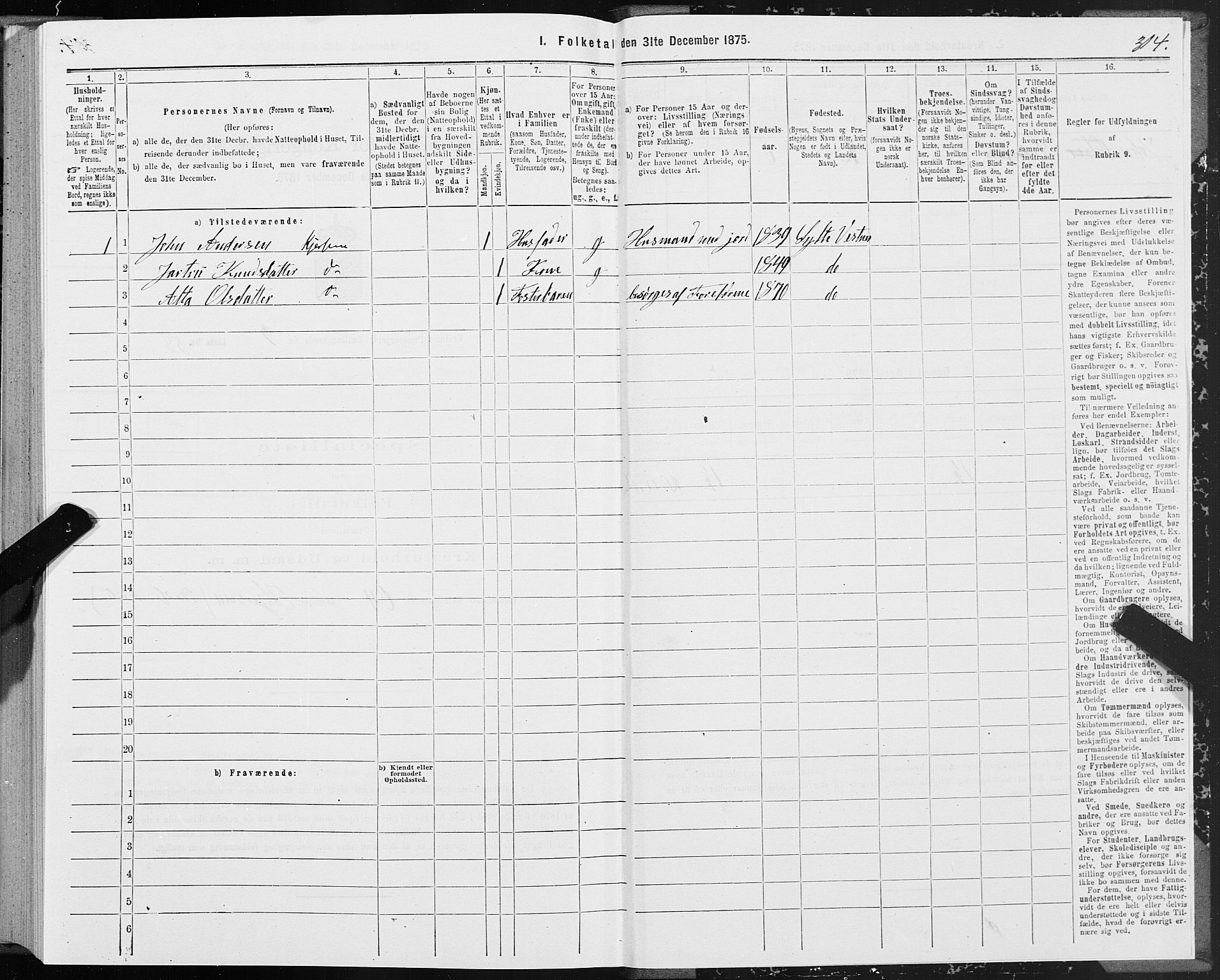 SAT, 1875 census for 1535P Vestnes, 1875, p. 1314