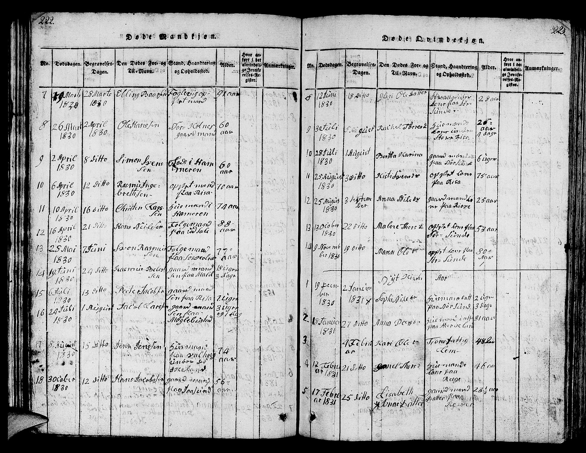 Håland sokneprestkontor, SAST/A-101802/001/30BB/L0001: Parish register (copy) no. B 1, 1815-1845, p. 222-223