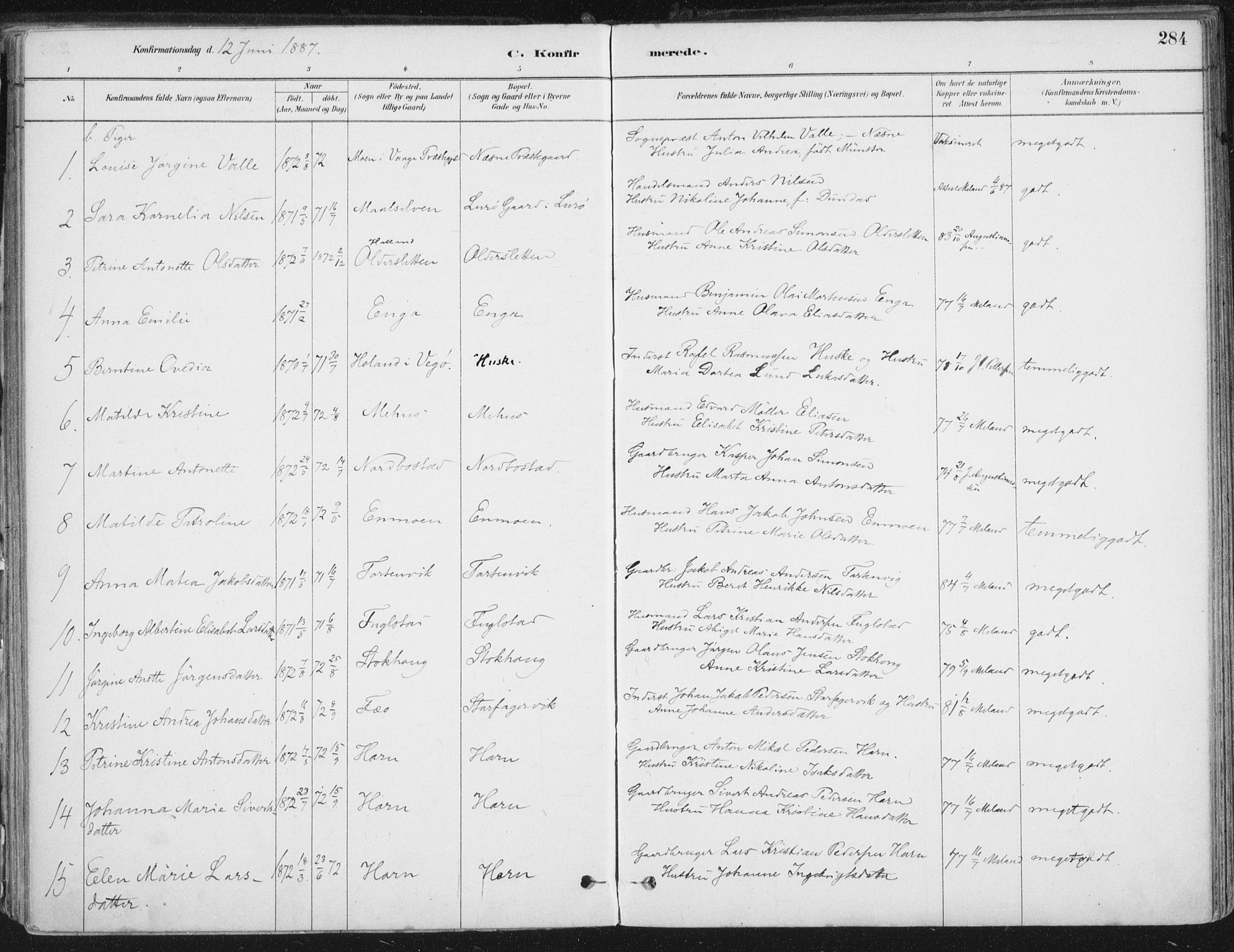 Ministerialprotokoller, klokkerbøker og fødselsregistre - Nordland, AV/SAT-A-1459/838/L0552: Parish register (official) no. 838A10, 1880-1910, p. 284