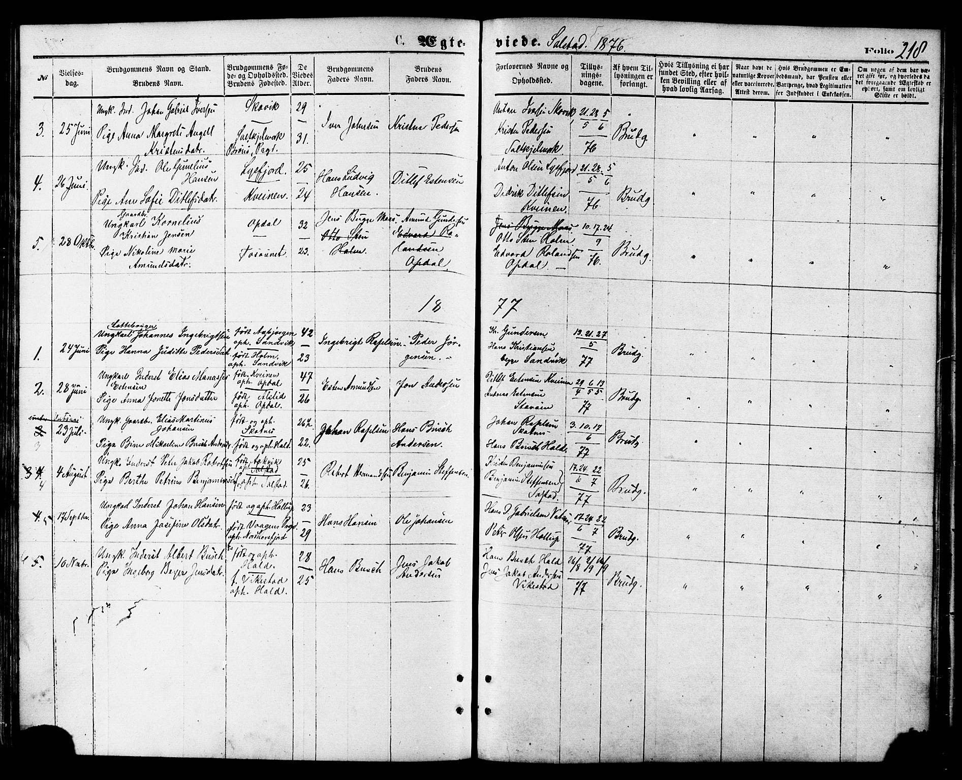 Ministerialprotokoller, klokkerbøker og fødselsregistre - Nordland, AV/SAT-A-1459/810/L0149: Parish register (official) no. 810A09 /2, 1874-1884, p. 218