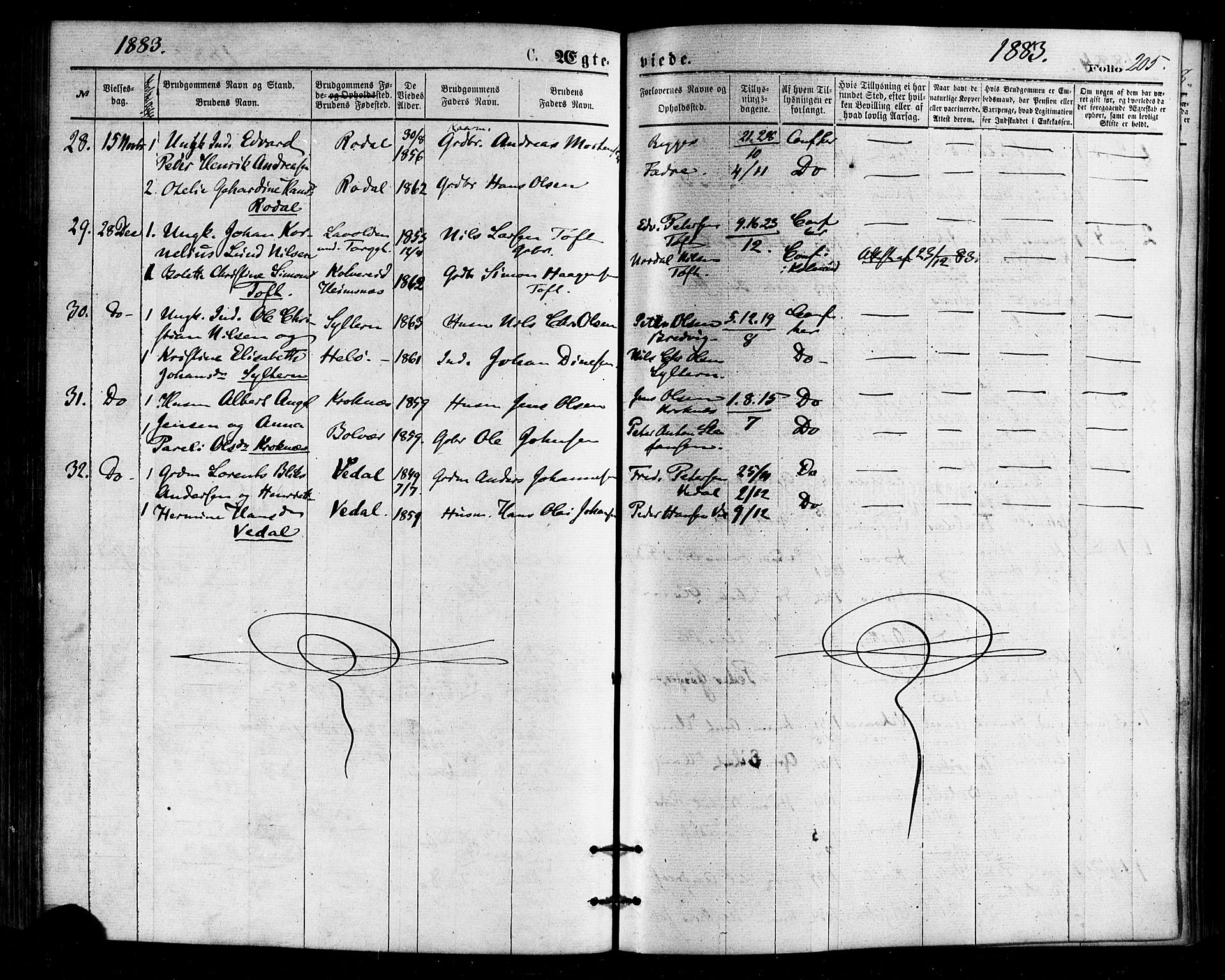 Ministerialprotokoller, klokkerbøker og fødselsregistre - Nordland, AV/SAT-A-1459/813/L0199: Parish register (official) no. 813A09, 1875-1885, p. 205