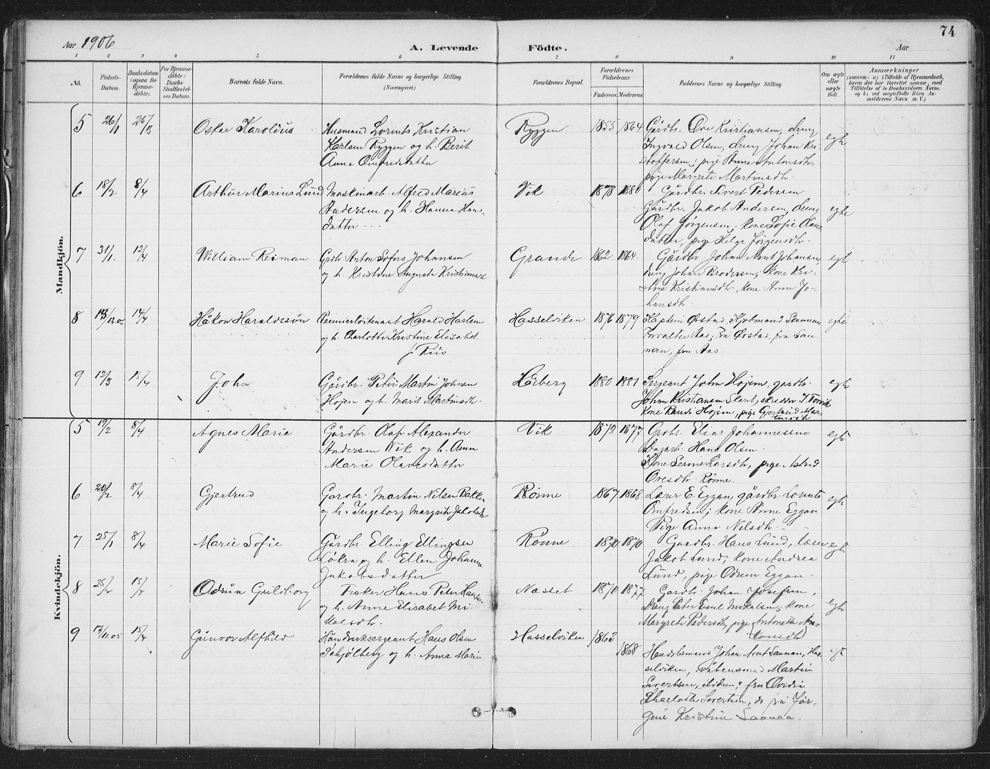 Ministerialprotokoller, klokkerbøker og fødselsregistre - Sør-Trøndelag, SAT/A-1456/659/L0743: Parish register (official) no. 659A13, 1893-1910, p. 74