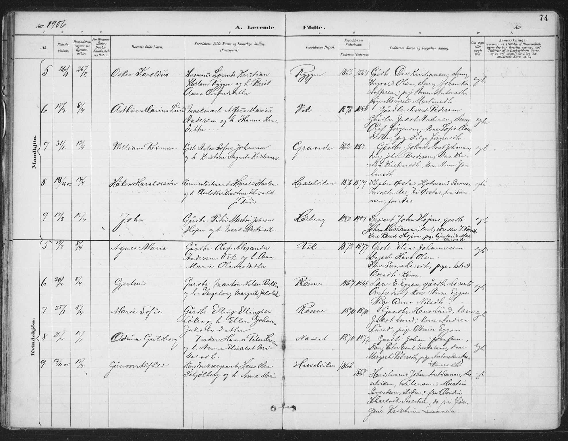 Ministerialprotokoller, klokkerbøker og fødselsregistre - Sør-Trøndelag, AV/SAT-A-1456/659/L0743: Parish register (official) no. 659A13, 1893-1910, p. 74