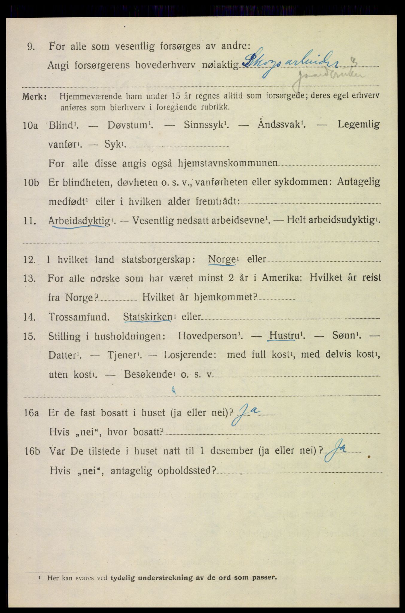 SAH, 1920 census for Elverum, 1920, p. 21213