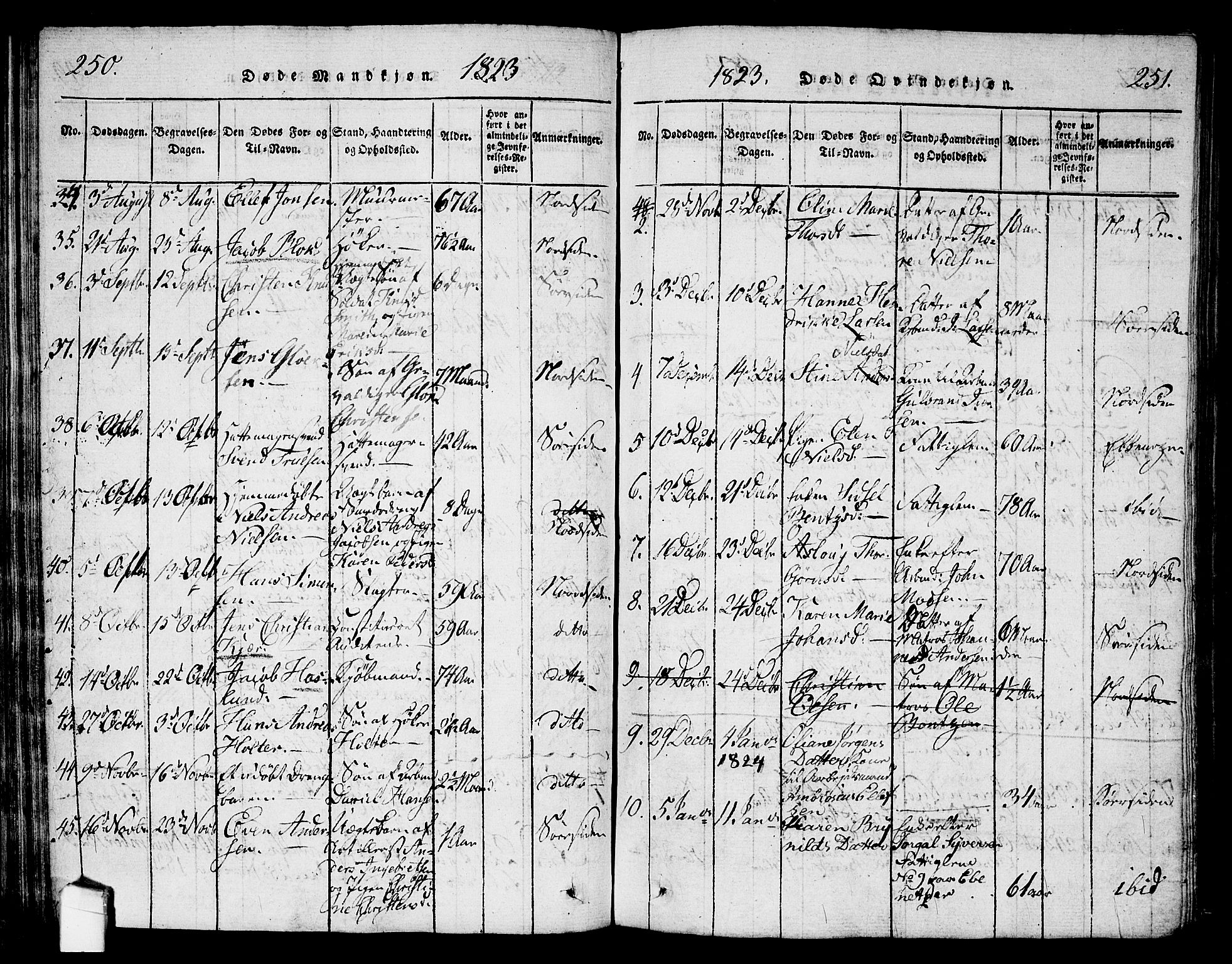 Halden prestekontor Kirkebøker, AV/SAO-A-10909/G/Ga/L0001: Parish register (copy) no. 1, 1815-1833, p. 250-251