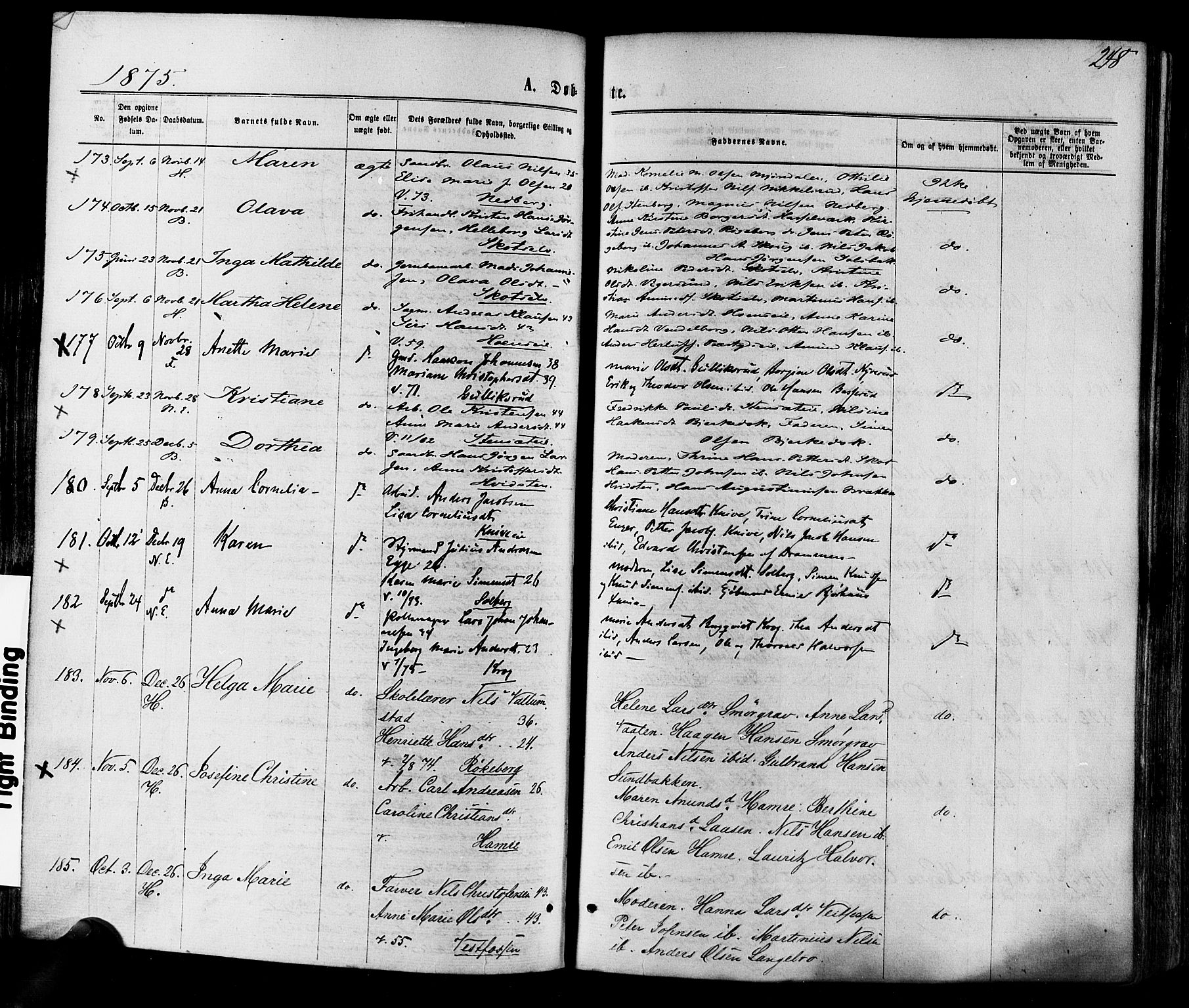 Eiker kirkebøker, SAKO/A-4/F/Fa/L0017: Parish register (official) no. I 17, 1869-1877, p. 248