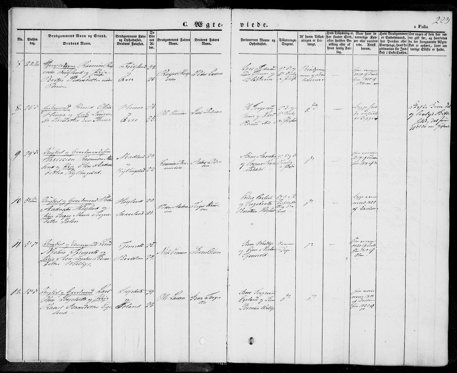 Lye sokneprestkontor, SAST/A-101794/001/30BA/L0006: Parish register (official) no. A 5.2, 1842-1855, p. 223