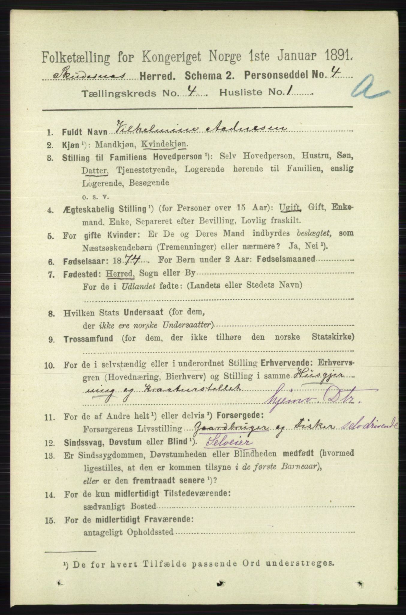 RA, 1891 census for 1150 Skudenes, 1891, p. 1873