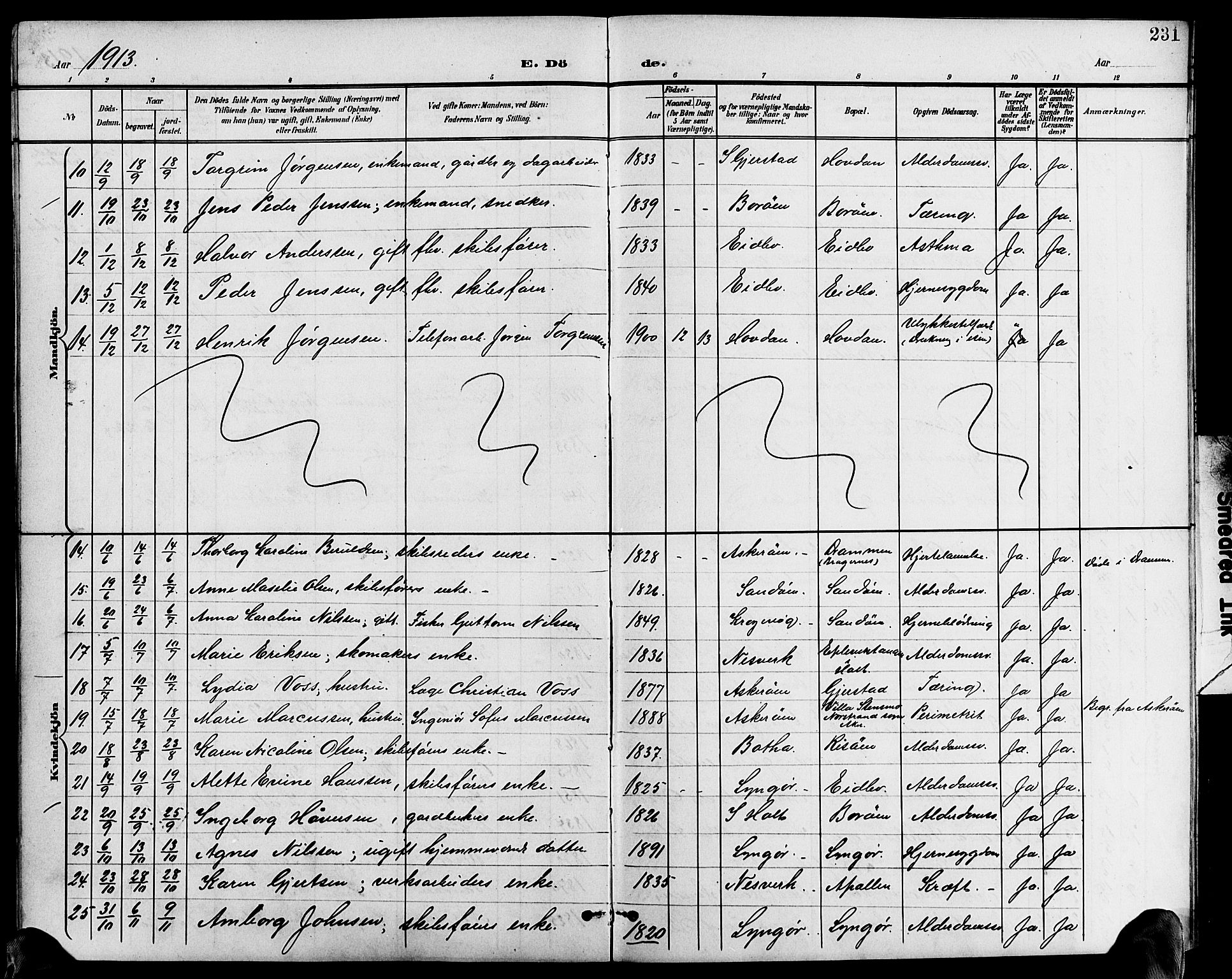 Dypvåg sokneprestkontor, AV/SAK-1111-0007/F/Fb/Fba/L0014: Parish register (copy) no. B 14, 1901-1922, p. 231