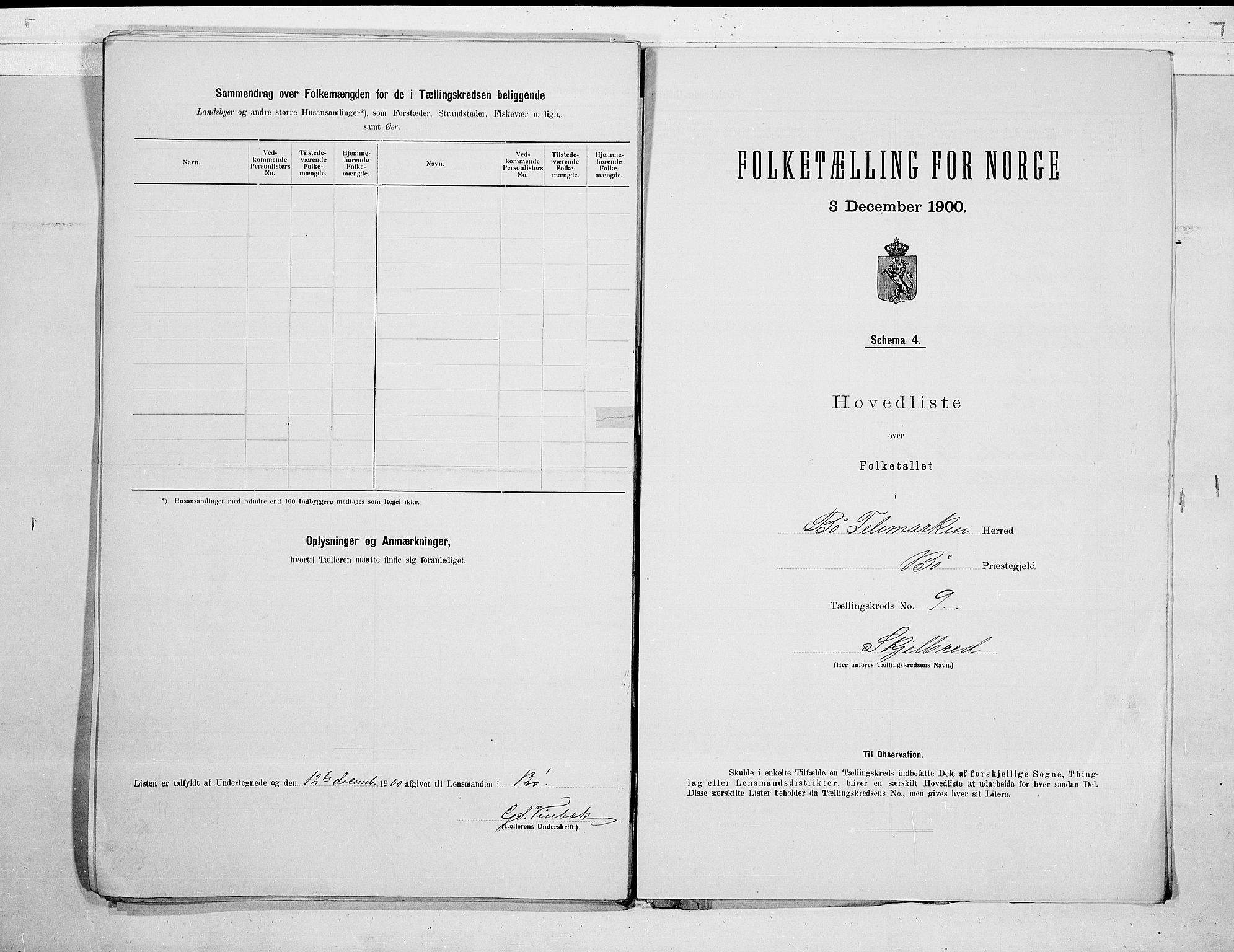 SAKO, 1900 census for Bø, 1900, p. 20