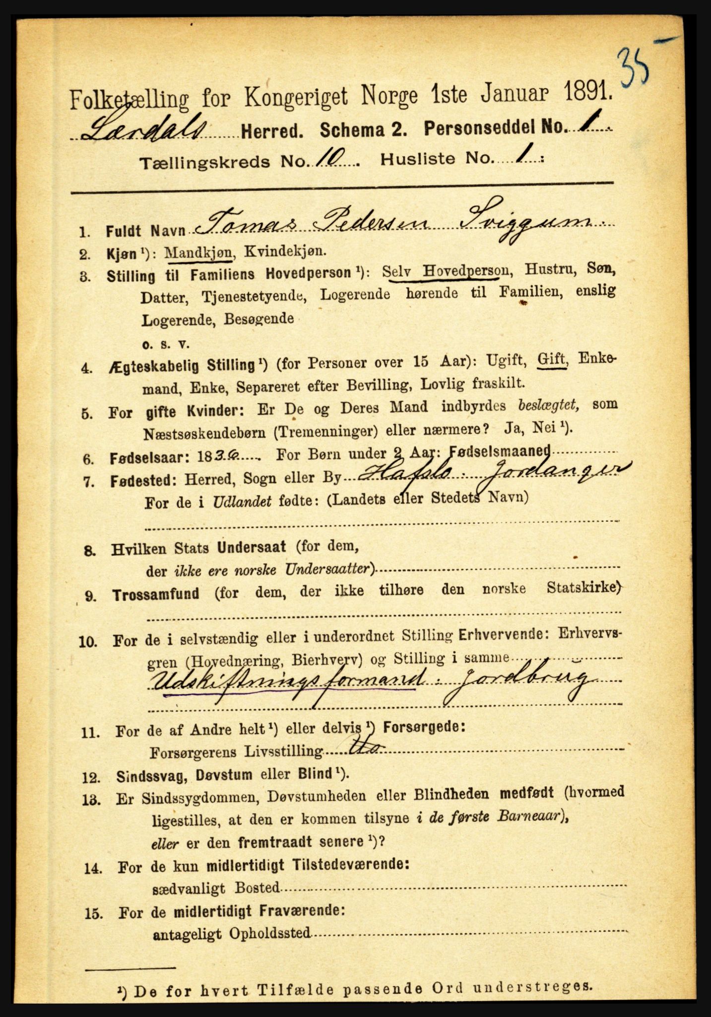 RA, 1891 census for 1422 Lærdal, 1891, p. 1697