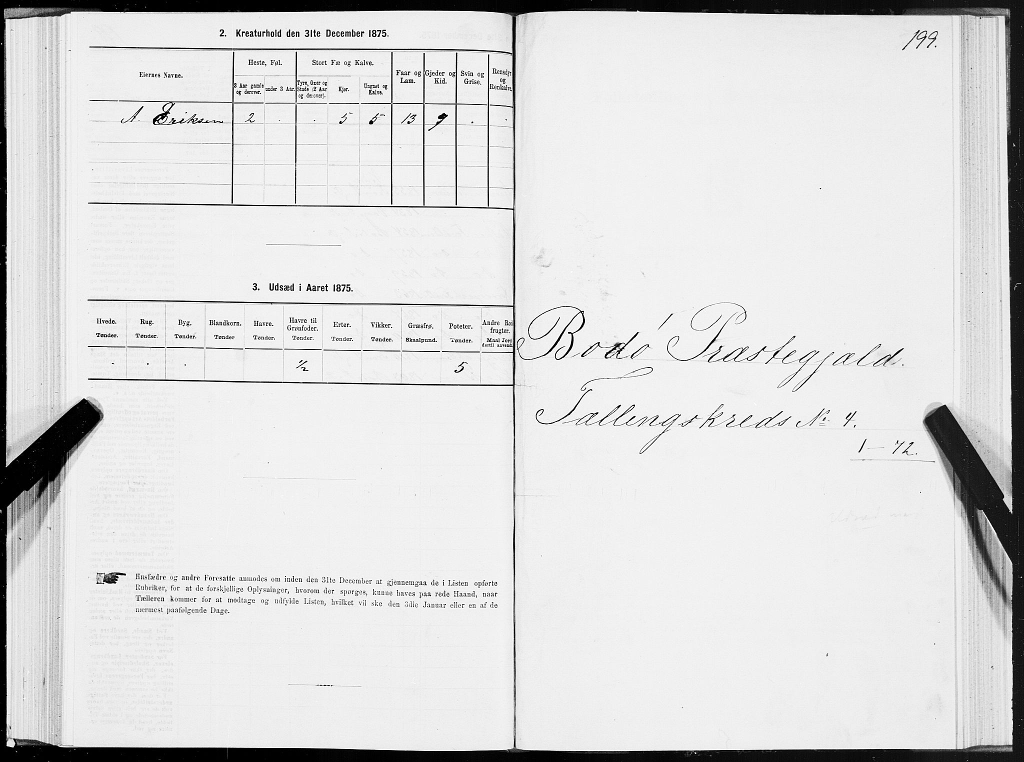 SAT, 1875 census for 1843L Bodø/Bodø, 1875, p. 2199