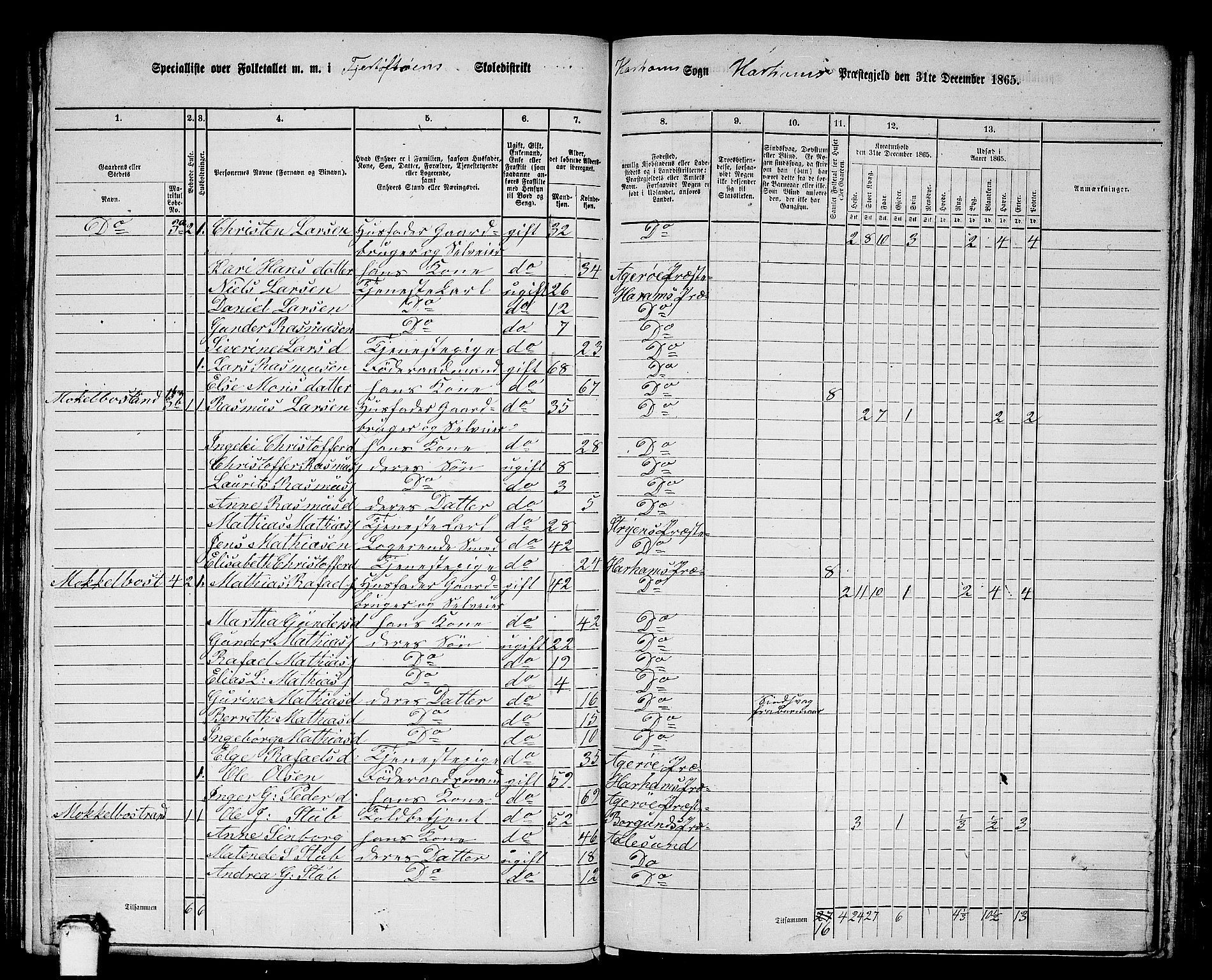 RA, 1865 census for Haram, 1865, p. 8