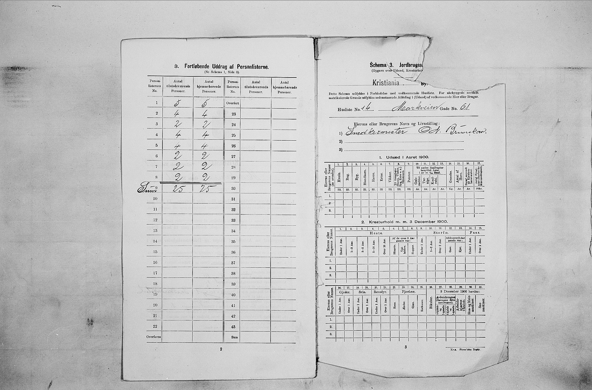 SAO, 1900 census for Kristiania, 1900, p. 58656