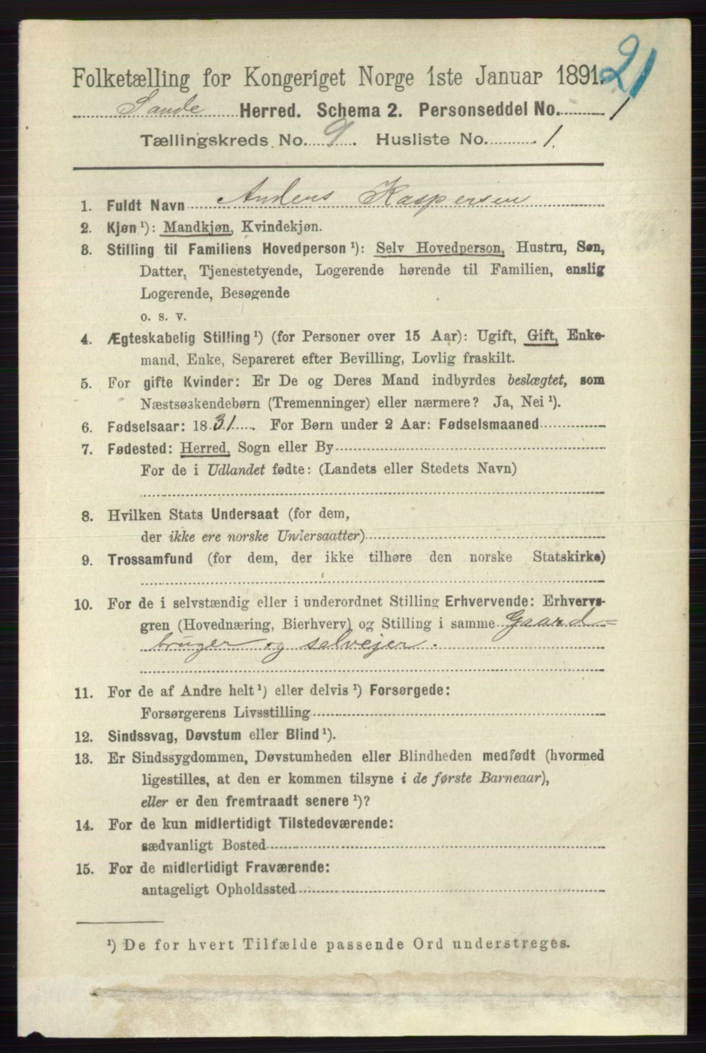 RA, 1891 census for 0713 Sande, 1891, p. 3932