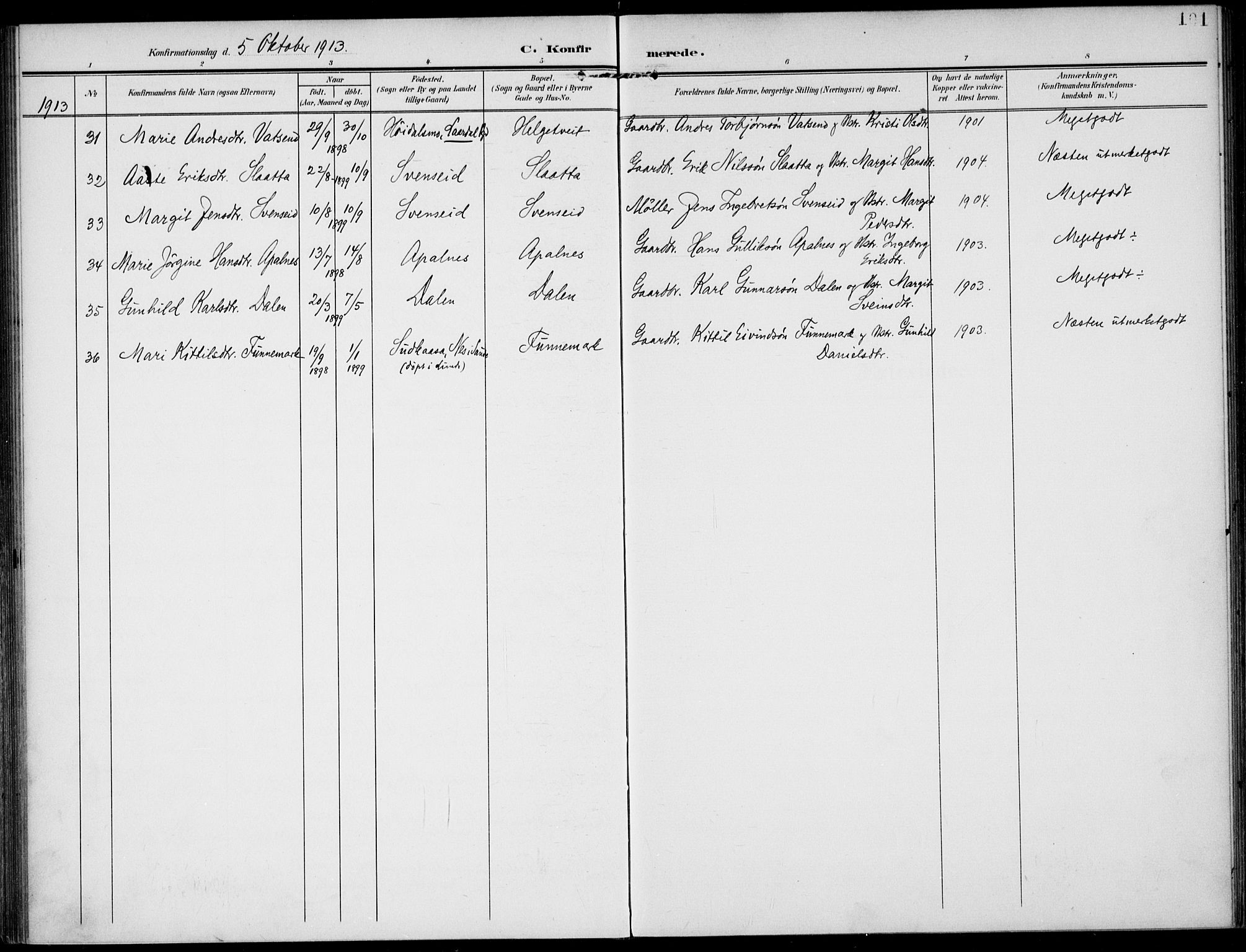 Lunde kirkebøker, AV/SAKO-A-282/F/Fa/L0004: Parish register (official) no. I 4, 1902-1913, p. 101