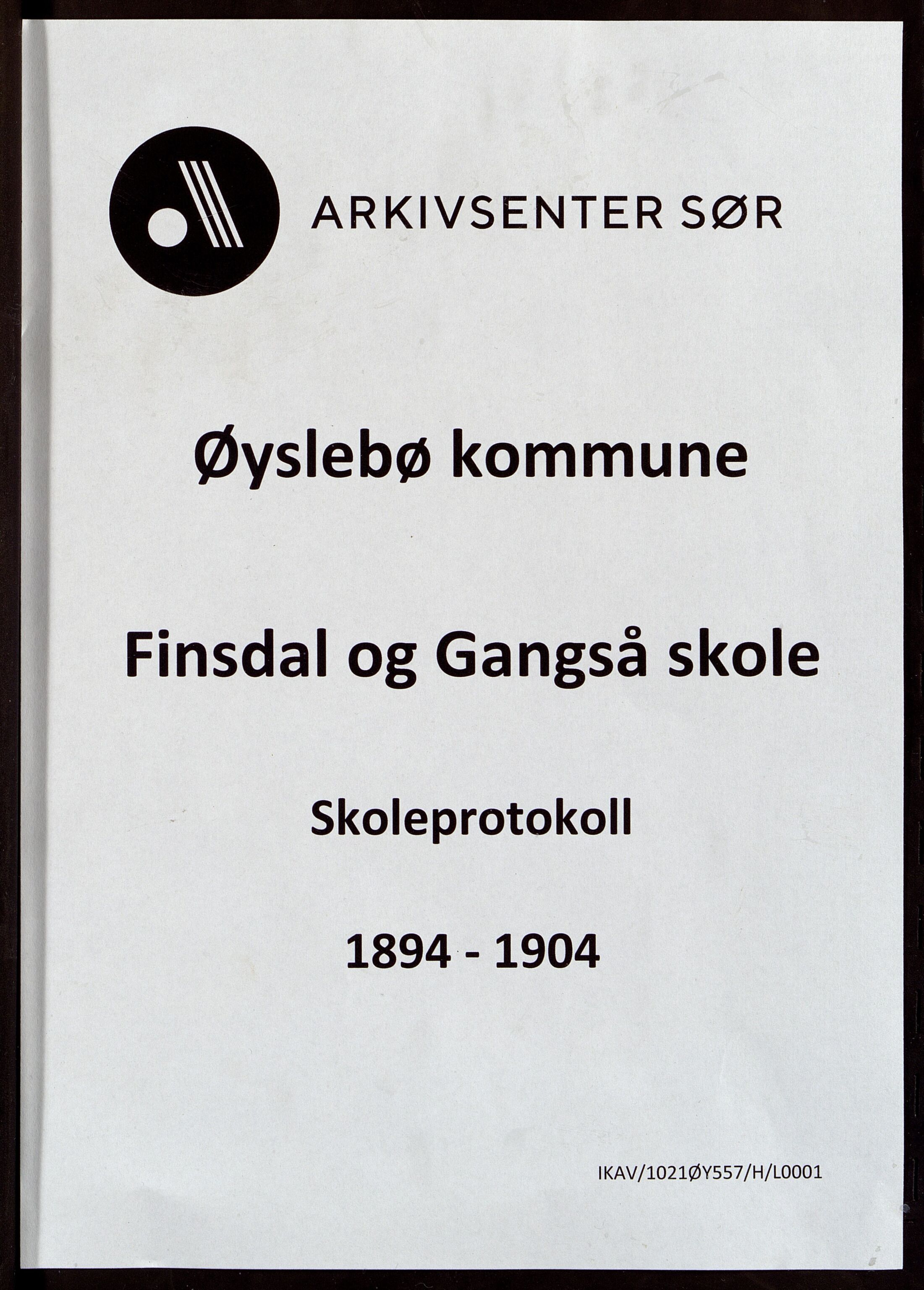 Øyslebø kommune - Finsdal Skole, ARKSOR/1021ØY557/H/L0001: Protokoll
(GAngså 1895 - 1913), 1894-1904