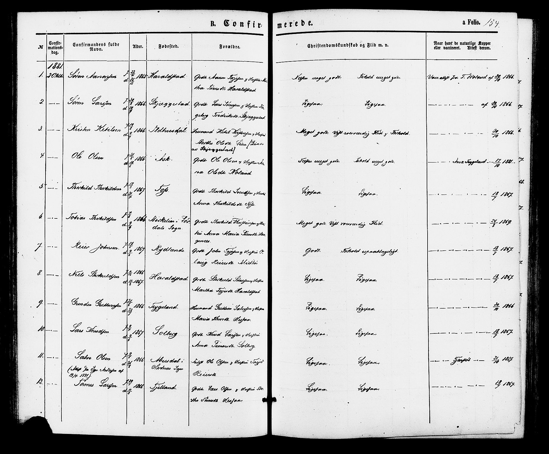 Bjelland sokneprestkontor, AV/SAK-1111-0005/F/Fa/Faa/L0003: Parish register (official) no. A 3, 1867-1887, p. 154