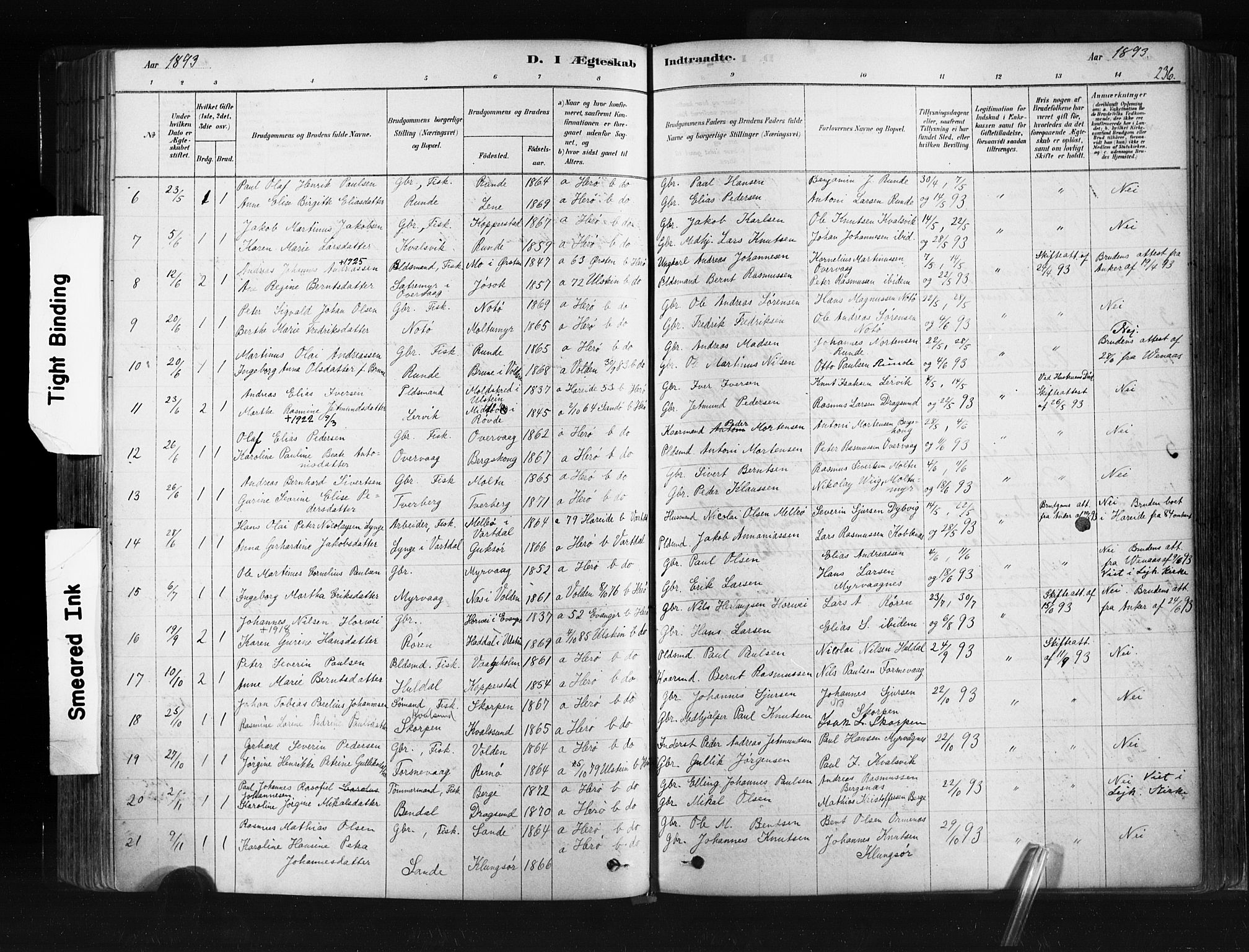 Ministerialprotokoller, klokkerbøker og fødselsregistre - Møre og Romsdal, SAT/A-1454/507/L0073: Parish register (official) no. 507A08, 1878-1904, p. 236