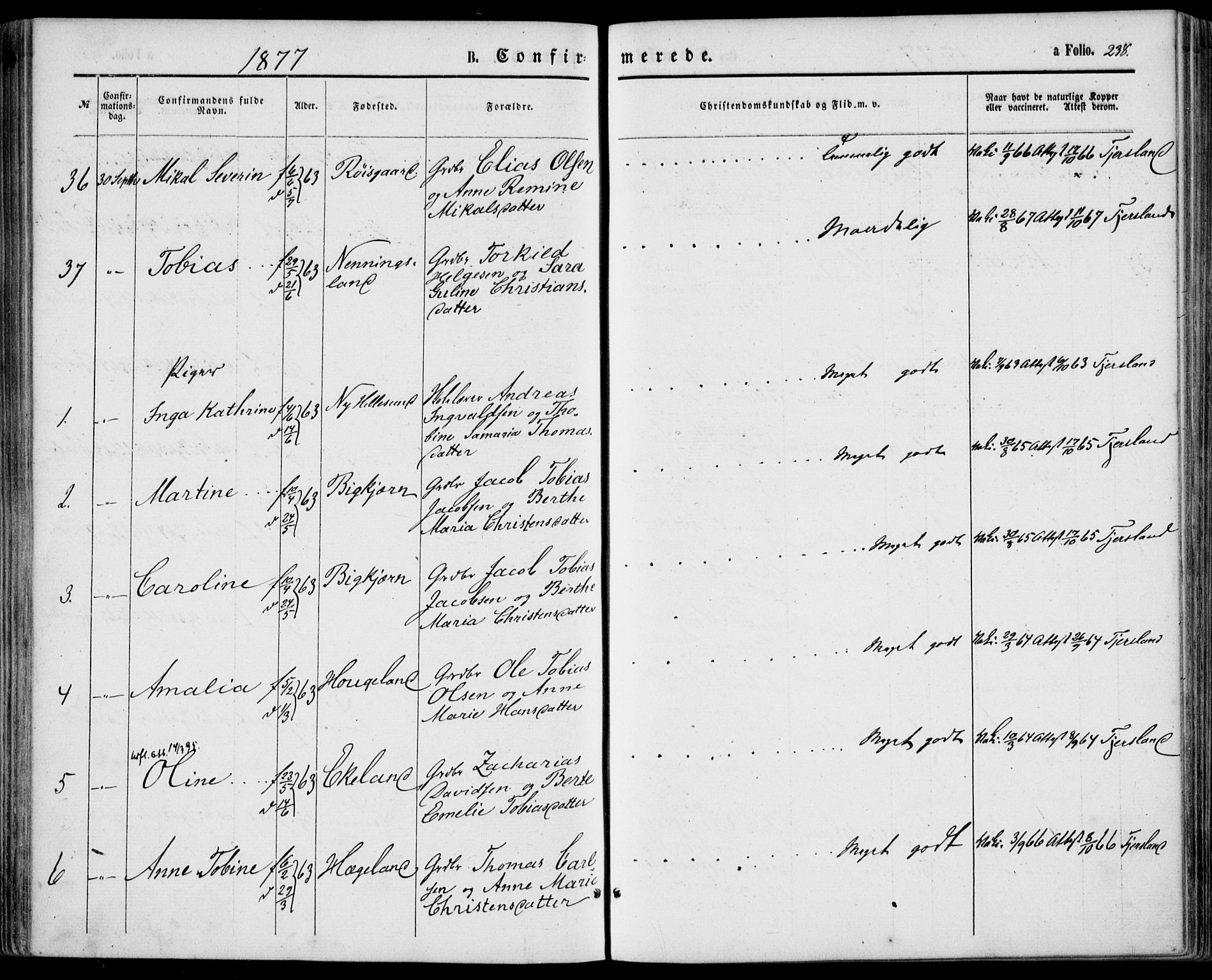 Lyngdal sokneprestkontor, AV/SAK-1111-0029/F/Fa/Fac/L0010: Parish register (official) no. A 10, 1865-1878, p. 238