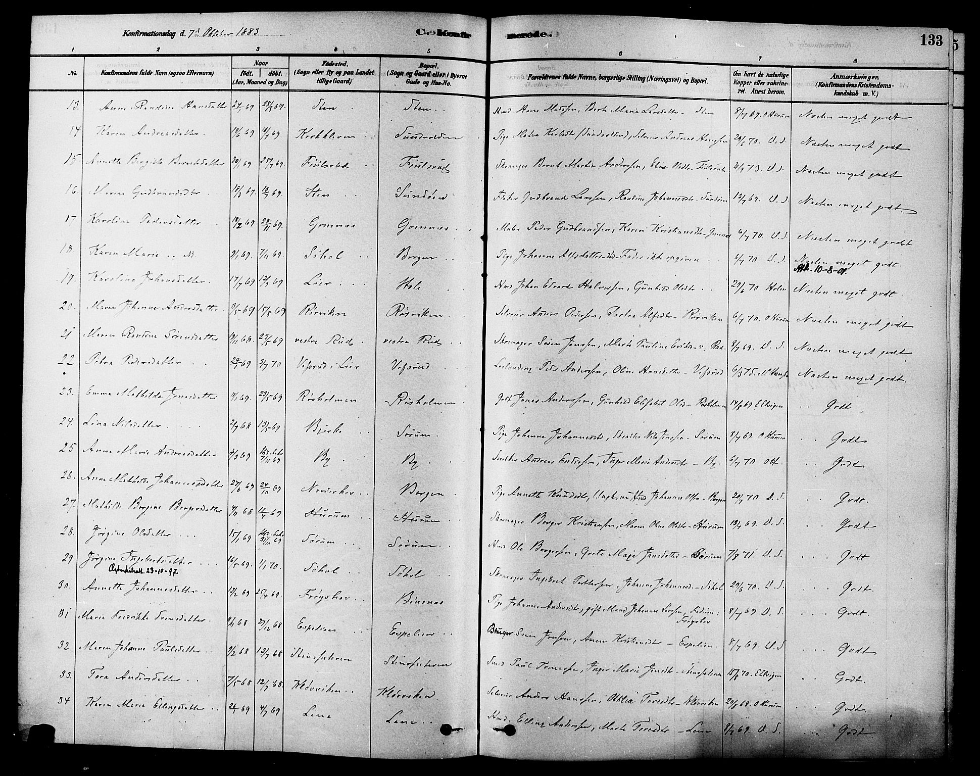 Hole kirkebøker, AV/SAKO-A-228/F/Fa/L0008: Parish register (official) no. I 8, 1878-1891, p. 133