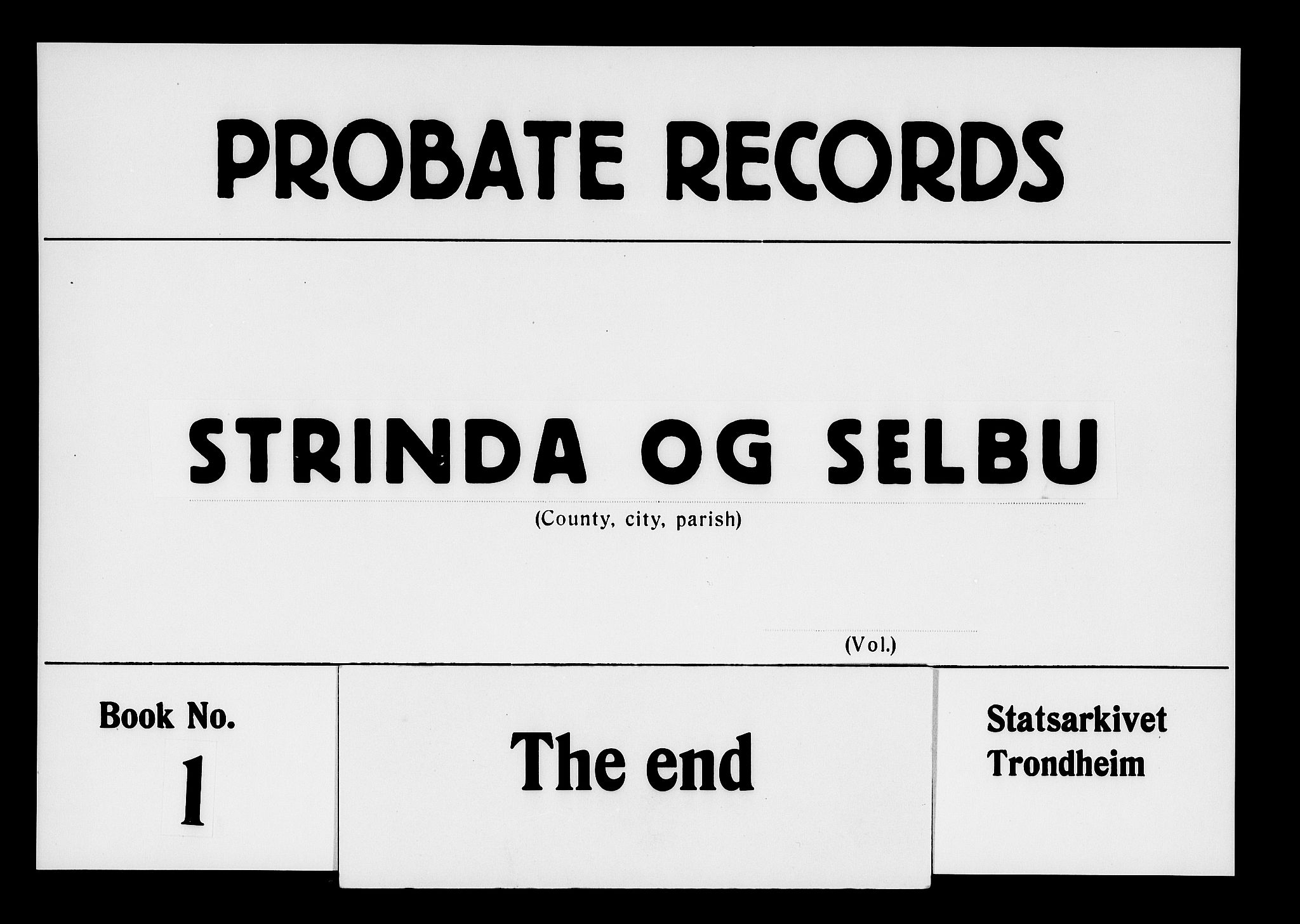 Strinda og Selbu sorenskriveri, AV/SAT-A-0015/3/3A/3Aa/L0001: Skifteprotokoll 1, 1700-1717