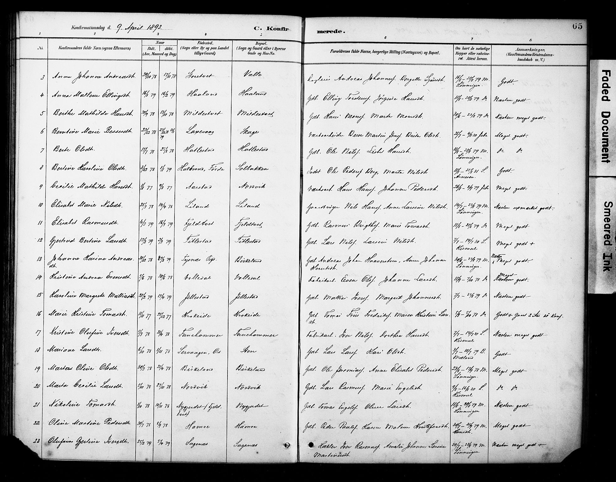 Fana Sokneprestembete, AV/SAB-A-75101/H/Haa/Haab/L0002: Parish register (official) no. B 2, 1890-1897, p. 65