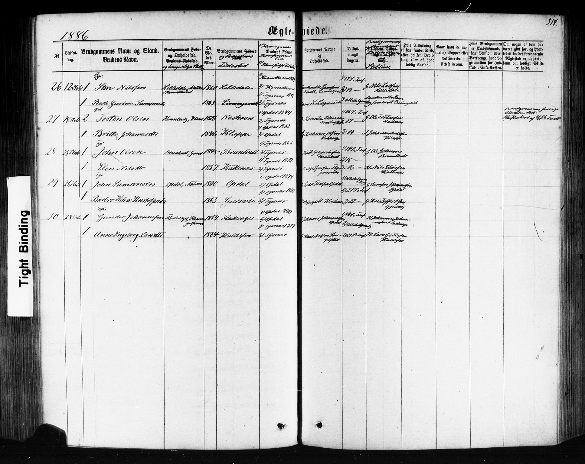 Tysnes sokneprestembete, AV/SAB-A-78601/H/Haa: Parish register (official) no. A 12, 1872-1886, p. 314