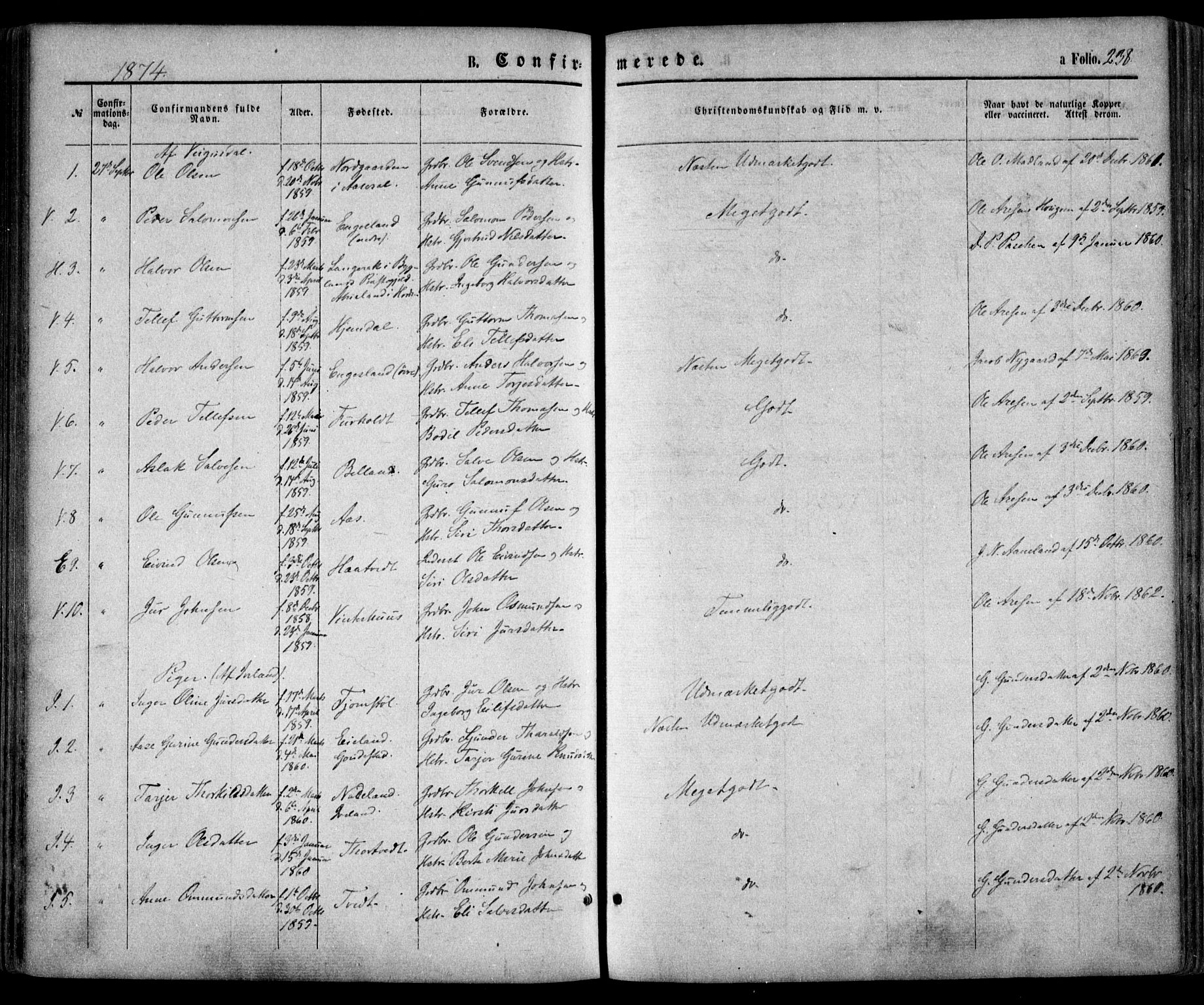 Evje sokneprestkontor, AV/SAK-1111-0008/F/Fa/Faa/L0006: Parish register (official) no. A 6, 1866-1884, p. 238