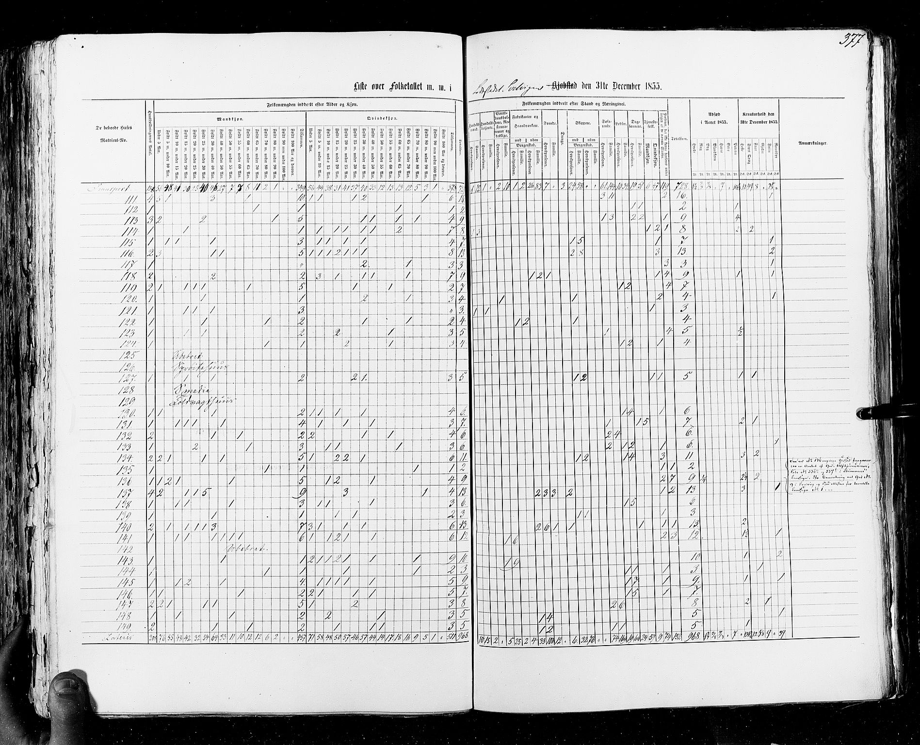 RA, Census 1855, vol. 7: Fredrikshald-Kragerø, 1855, p. 377