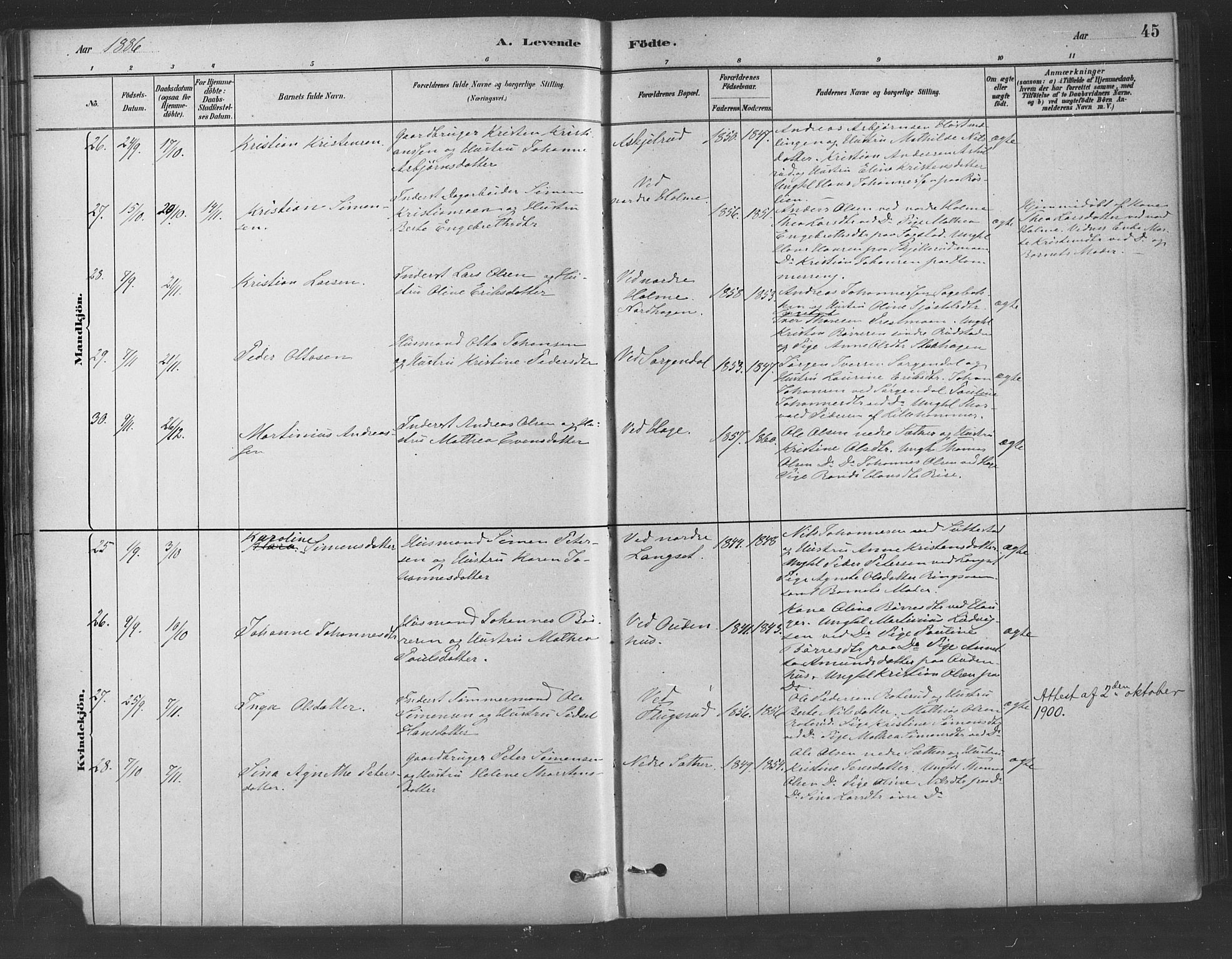 Fåberg prestekontor, SAH/PREST-086/H/Ha/Haa/L0009: Parish register (official) no. 9, 1879-1898, p. 45