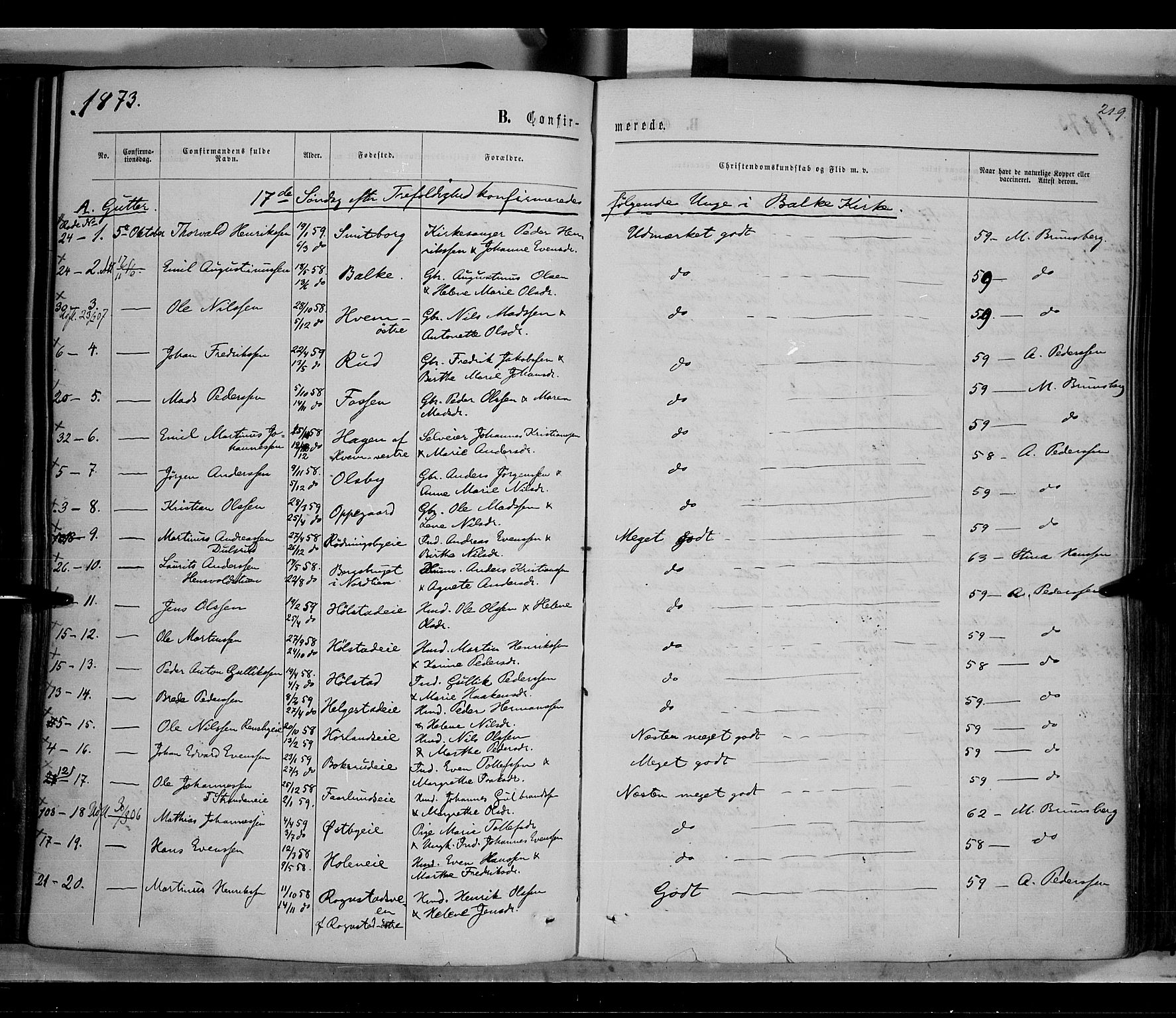 Østre Toten prestekontor, AV/SAH-PREST-104/H/Ha/Haa/L0005: Parish register (official) no. 5, 1866-1877, p. 219