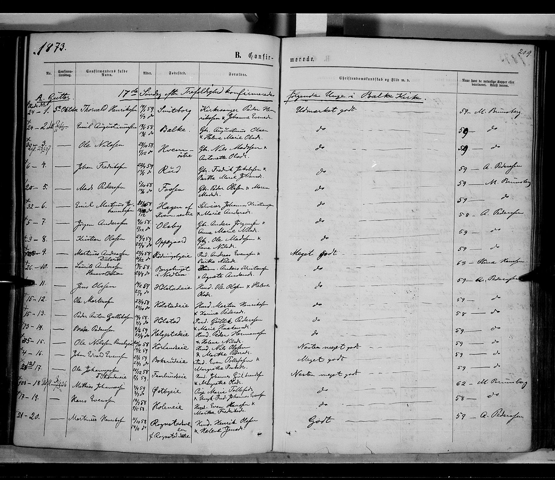 Østre Toten prestekontor, SAH/PREST-104/H/Ha/Haa/L0005: Parish register (official) no. 5, 1866-1877, p. 219