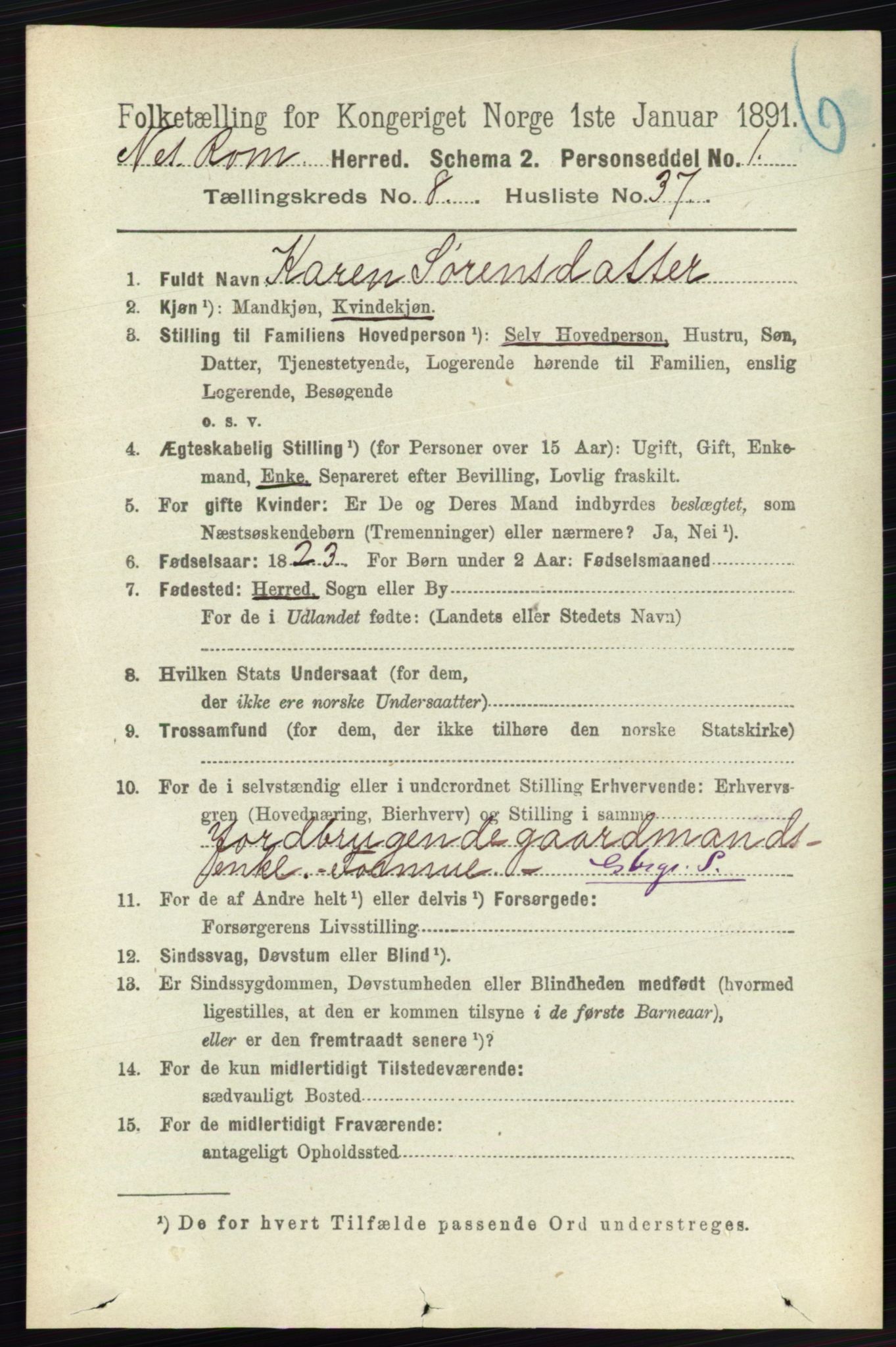 RA, 1891 census for 0236 Nes, 1891, p. 4834