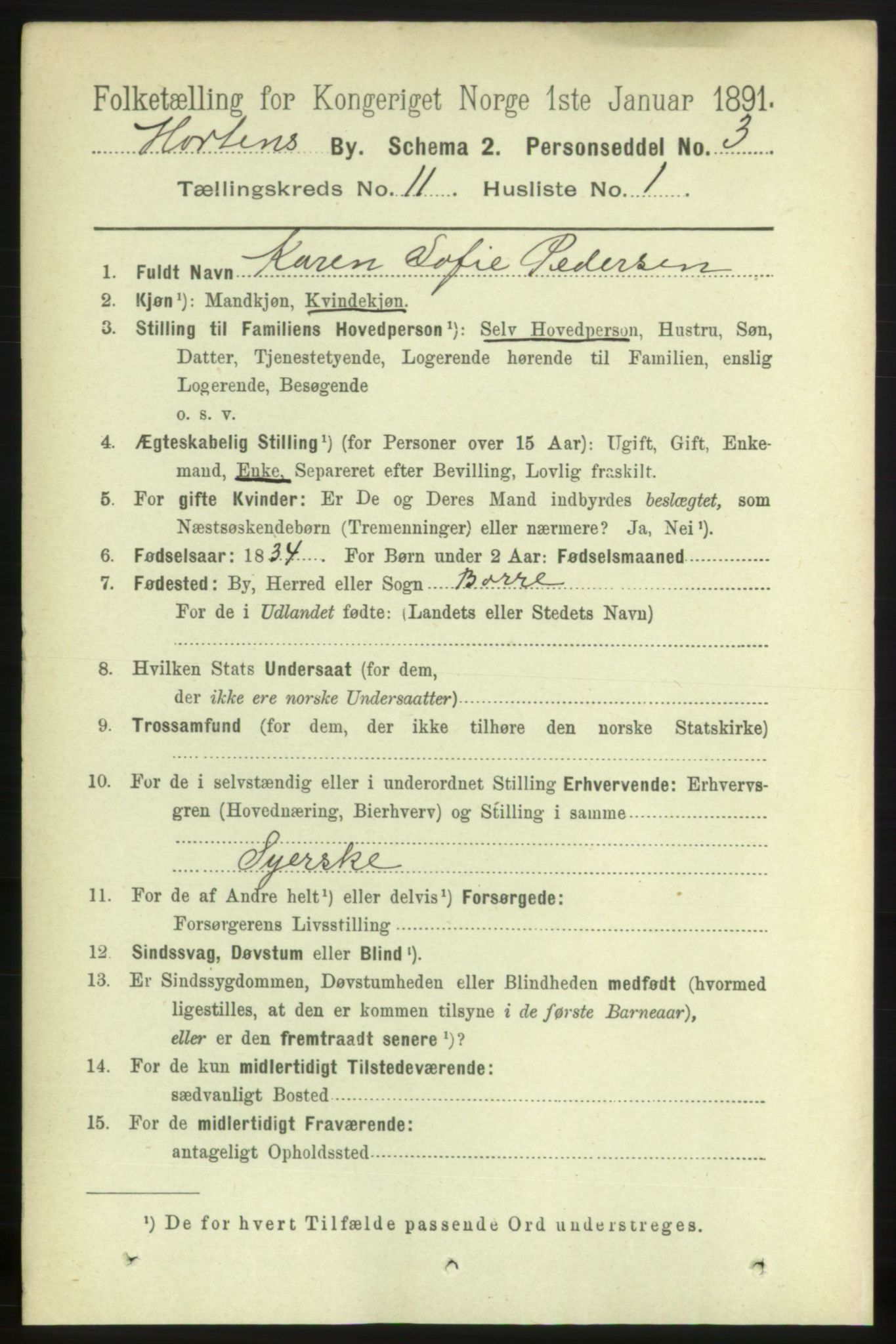 RA, 1891 census for 0703 Horten, 1891, p. 6562