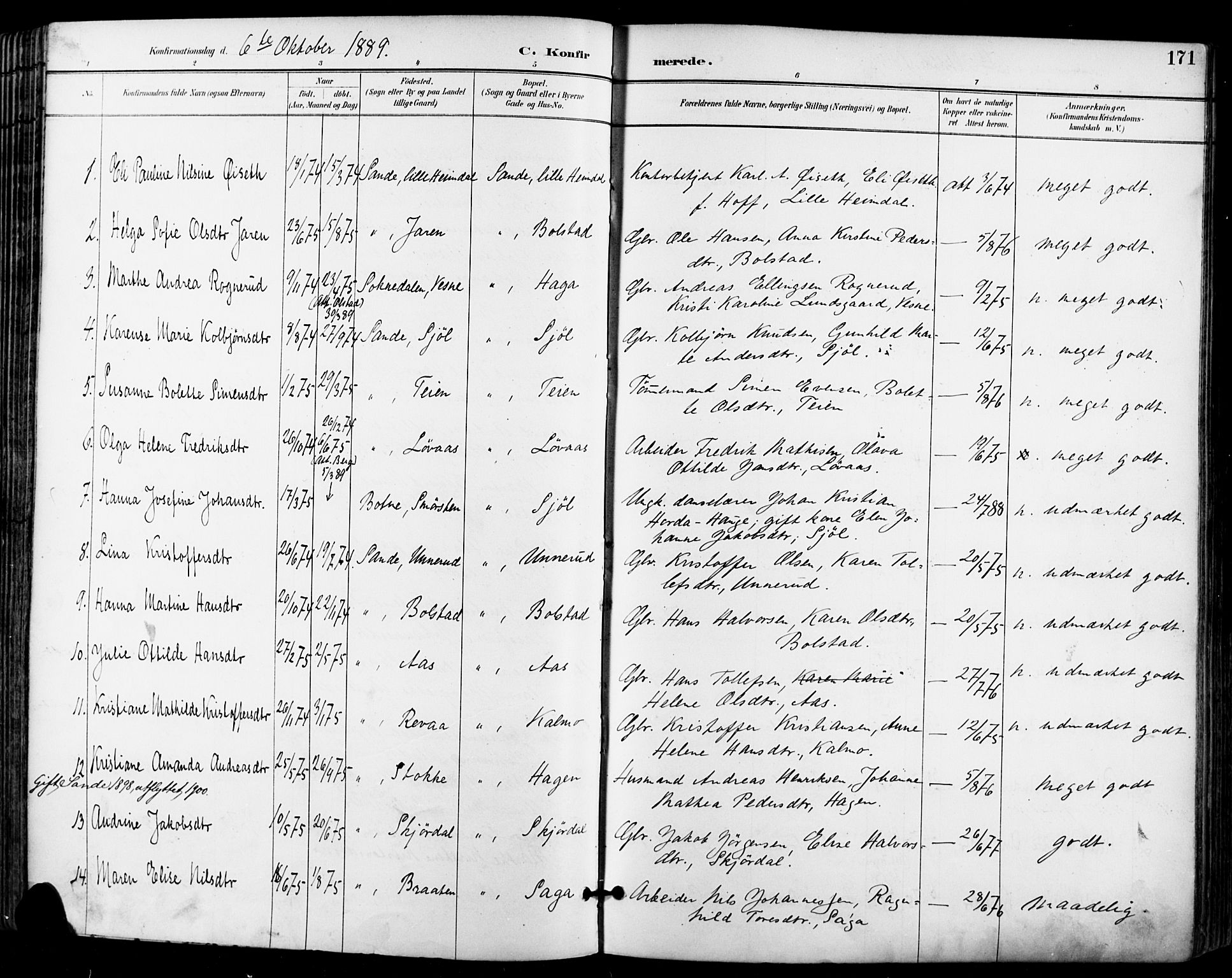 Sande Kirkebøker, AV/SAKO-A-53/F/Fa/L0007: Parish register (official) no. 7, 1888-1903, p. 171