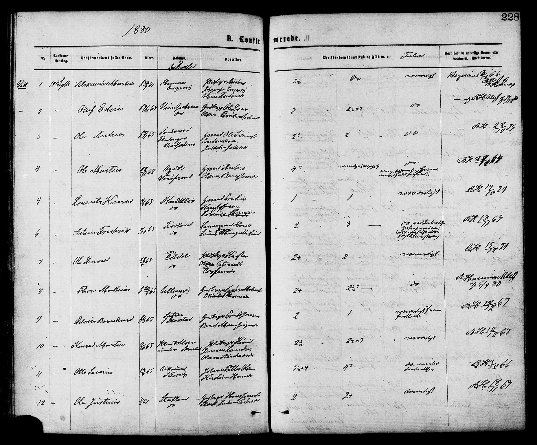 Ministerialprotokoller, klokkerbøker og fødselsregistre - Nord-Trøndelag, SAT/A-1458/773/L0616: Parish register (official) no. 773A07, 1870-1887, p. 228