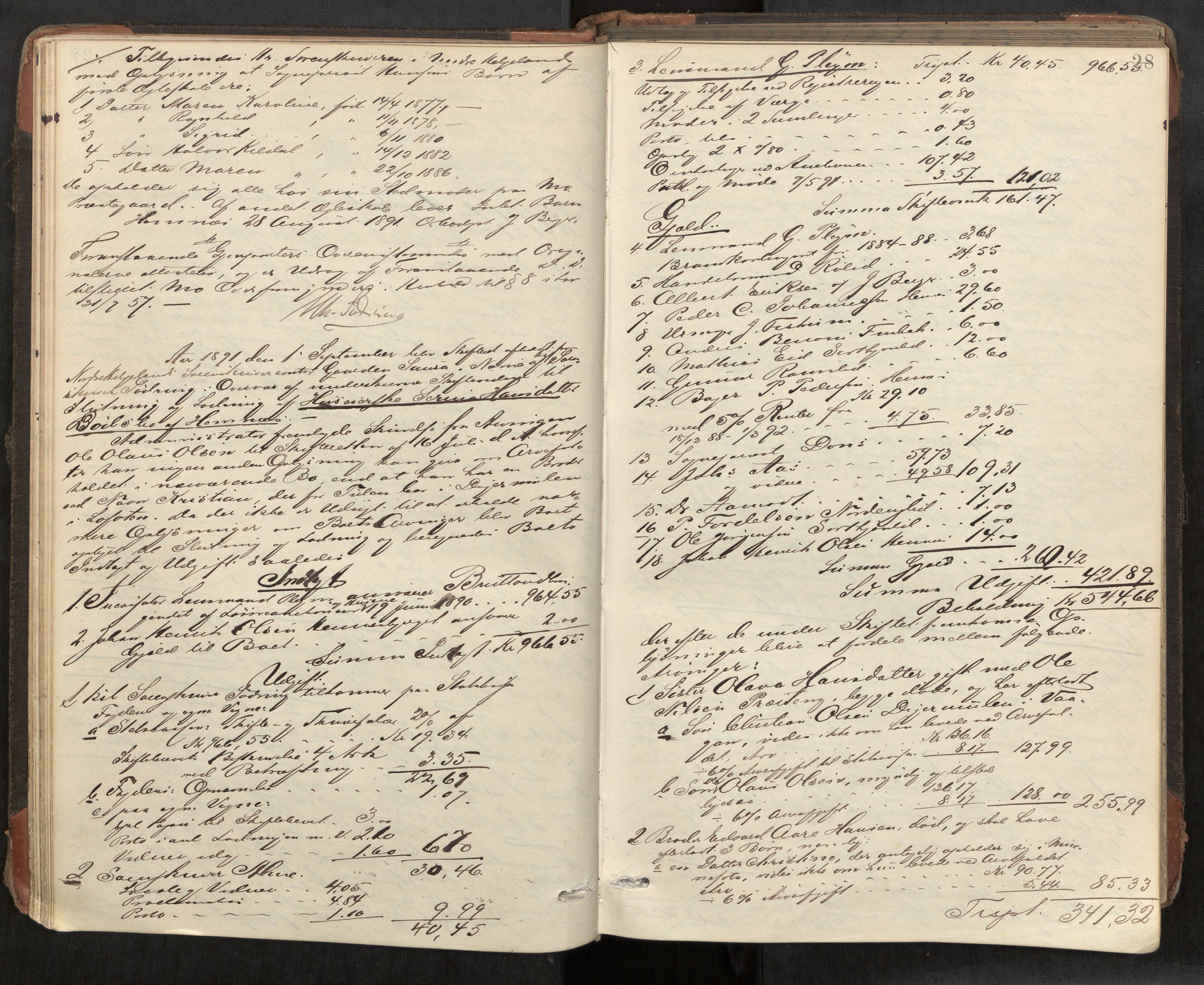 Rana sorenskriveri , AV/SAT-A-1108/1/3/3A/L0006: Skifteslutningsprotokoll, 1891-1896, p. 28