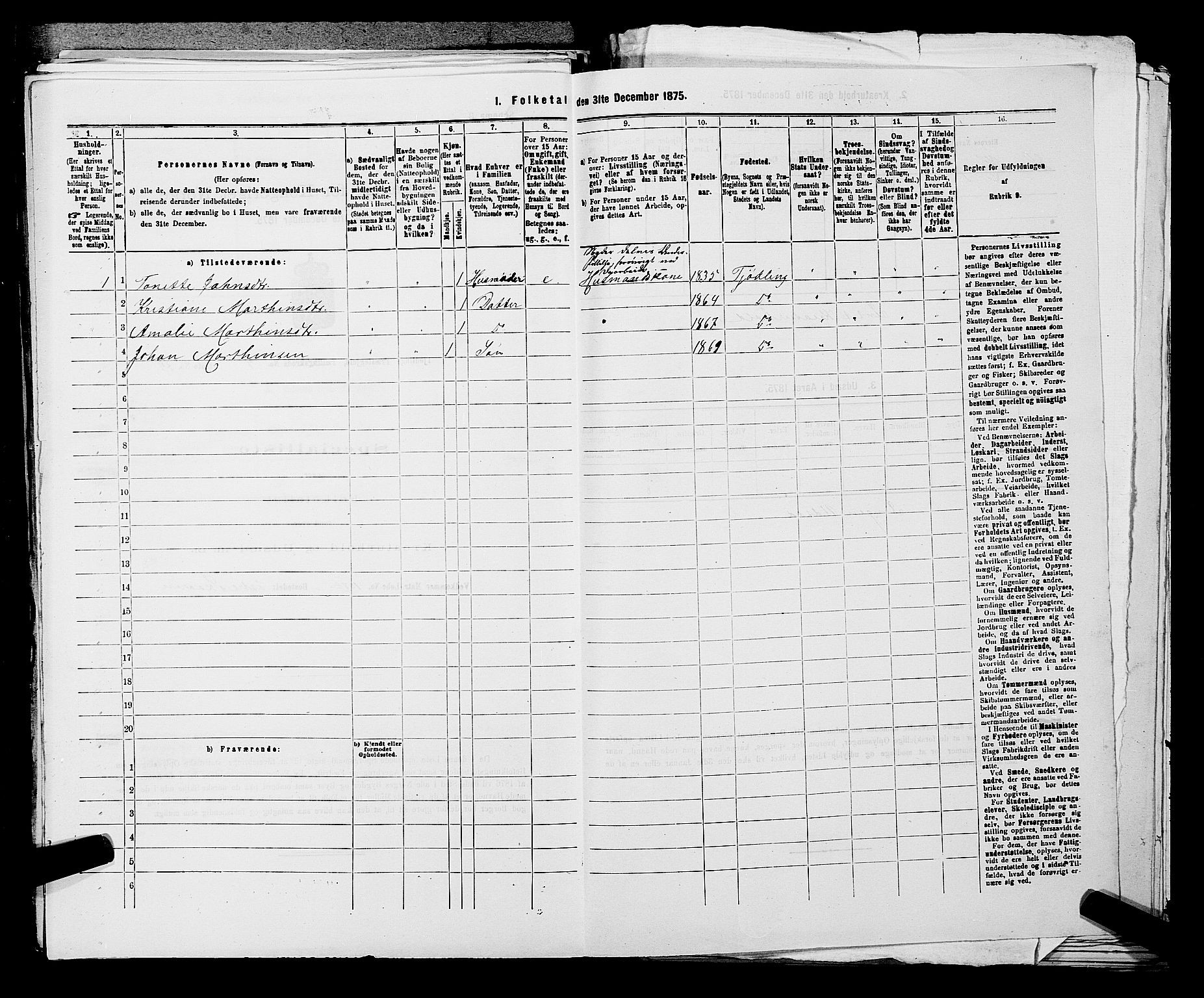 SAKO, 1875 census for 0725P Tjølling, 1875, p. 878