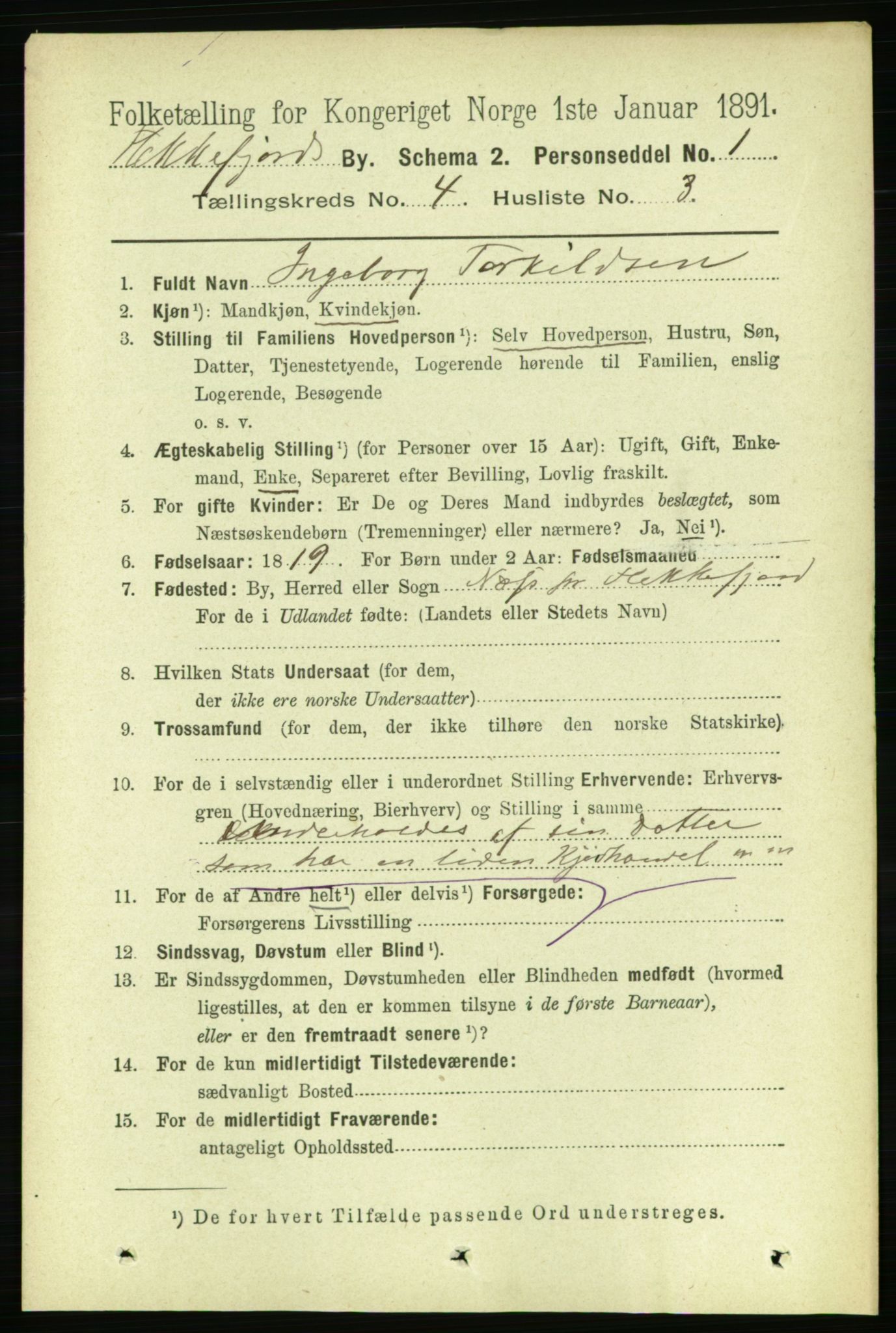 RA, 1891 census for 1004 Flekkefjord, 1891, p. 1029