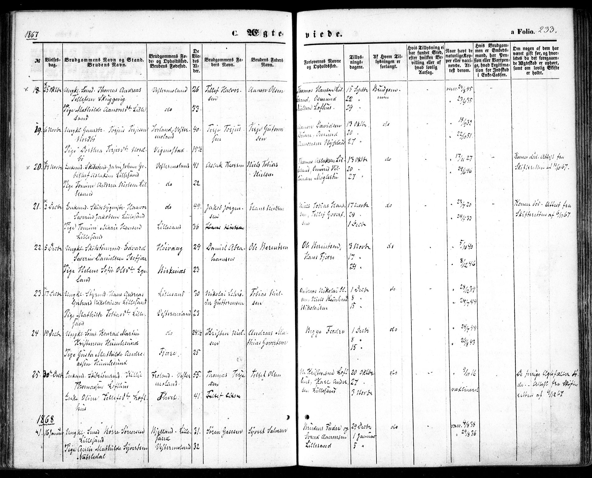 Vestre Moland sokneprestkontor, AV/SAK-1111-0046/F/Fa/Fab/L0007: Parish register (official) no. A 7, 1859-1872, p. 233