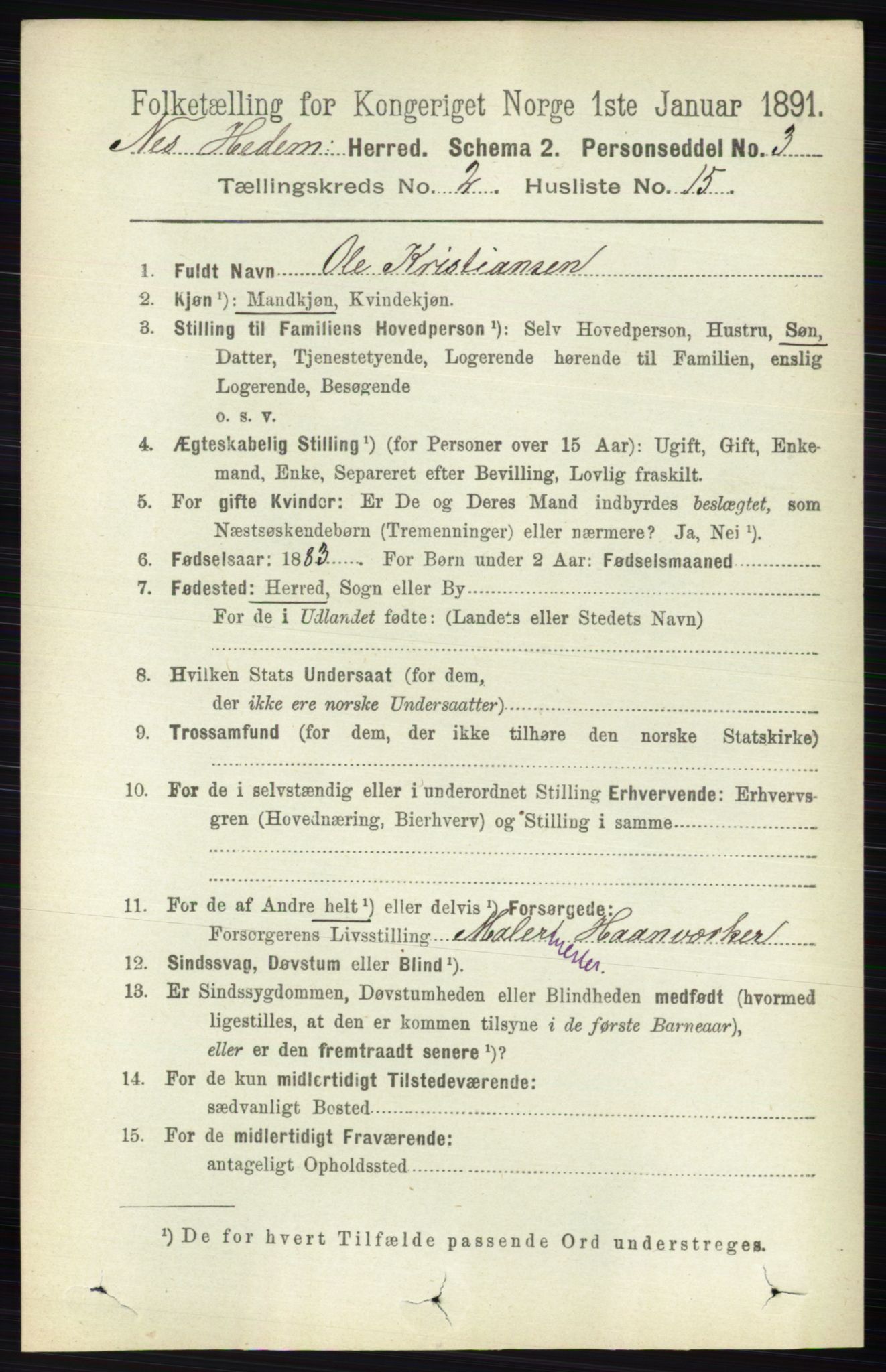 RA, 1891 census for 0411 Nes, 1891, p. 1162