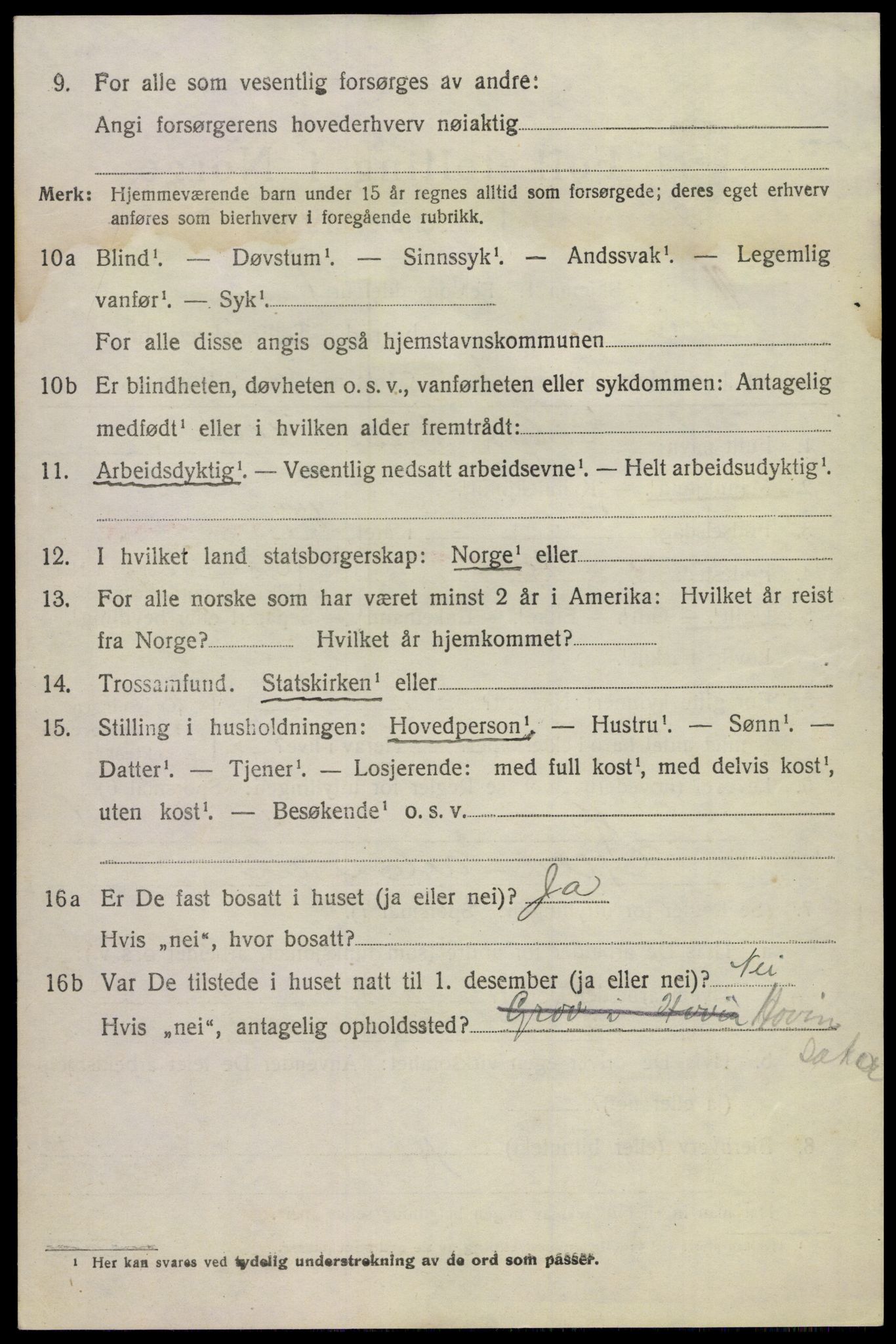 SAKO, 1920 census for Hovin, 1920, p. 1704