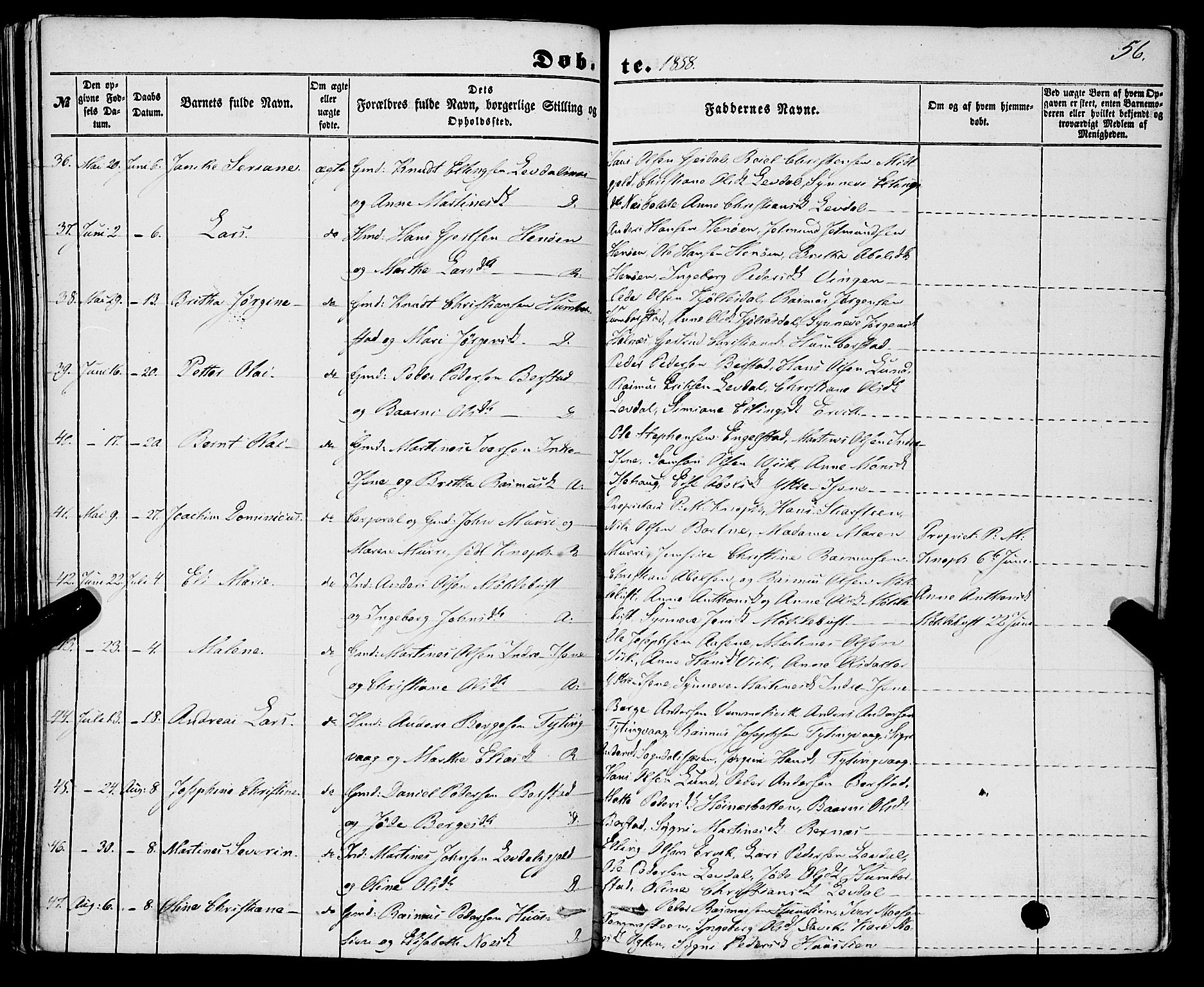 Davik sokneprestembete, AV/SAB-A-79701/H/Haa/Haaa/L0005: Parish register (official) no. A 5, 1850-1866, p. 56