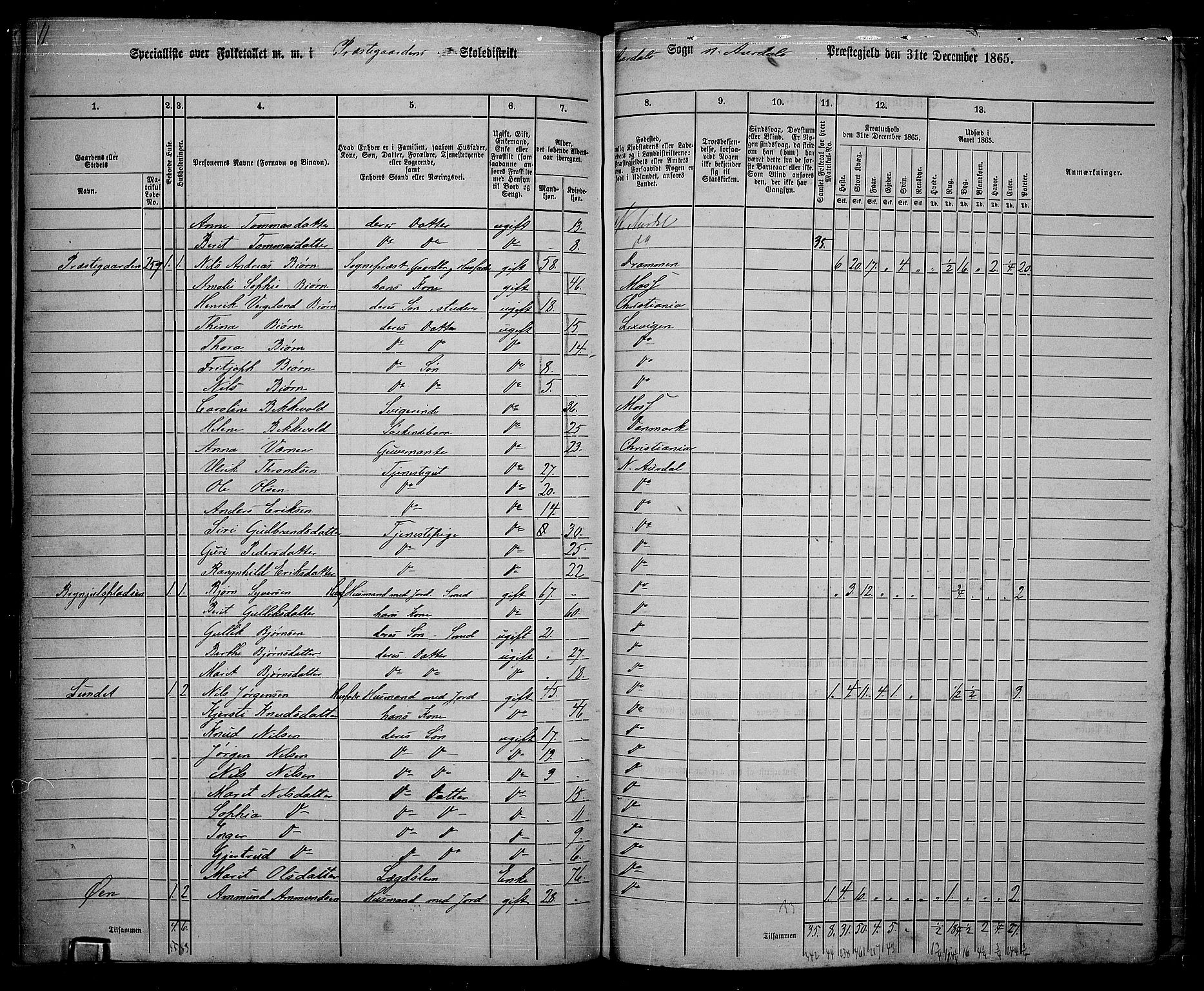 RA, 1865 census for Nord-Aurdal, 1865, p. 174